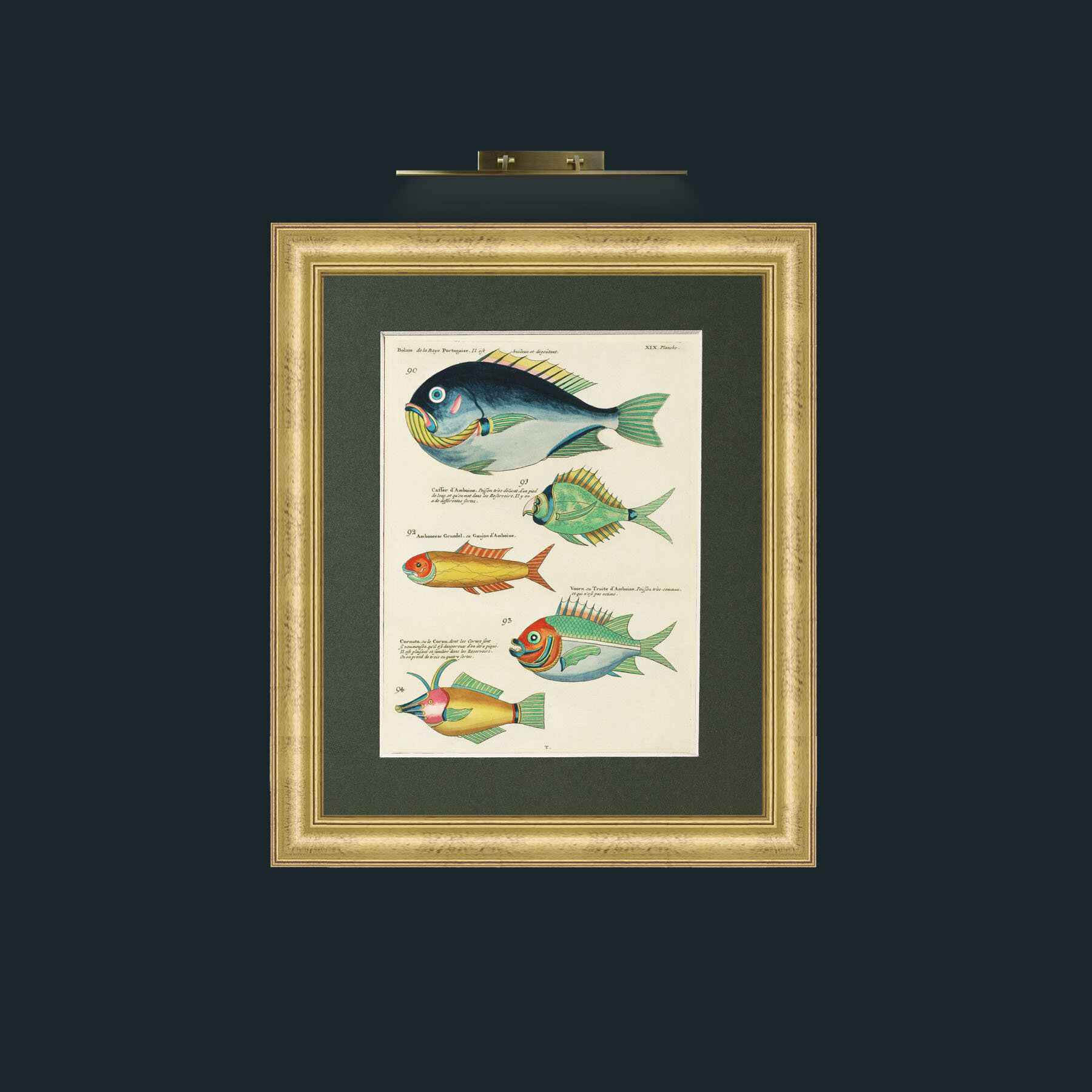 Art-Green and Orange Fish-Frame-9WideGilt-Mount-2Green.jpg