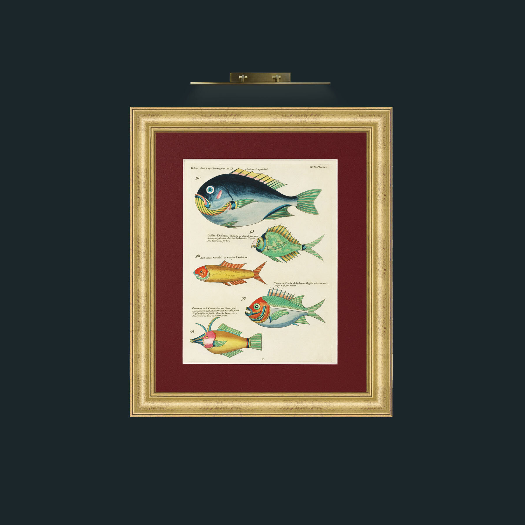 Art-Green and Orange Fish-Frame-9WideGilt-Mount-4Red.jpg