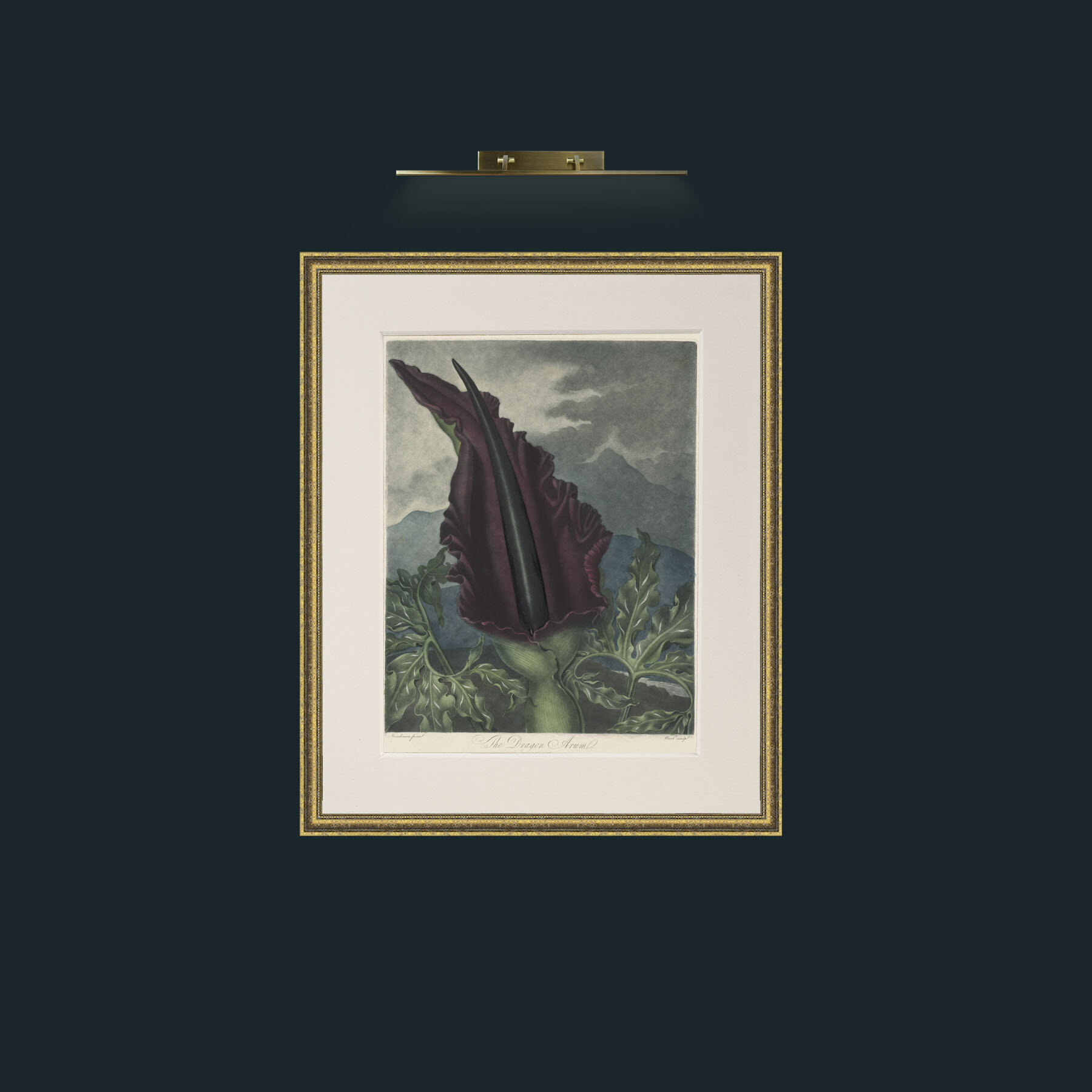 Art-Dragon Arum-Frame-1GiltTextured-Mount-1Antique.jpg