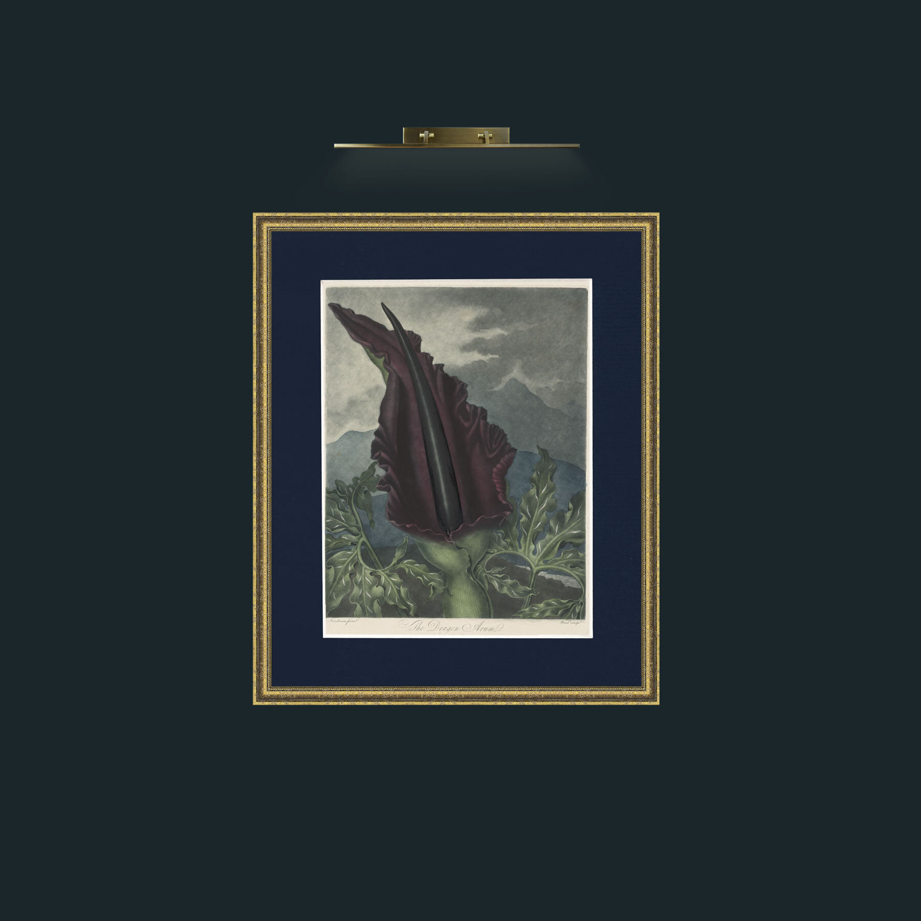 Art-Dragon Arum-Frame-1GiltTextured-Mount-3Blue.jpg