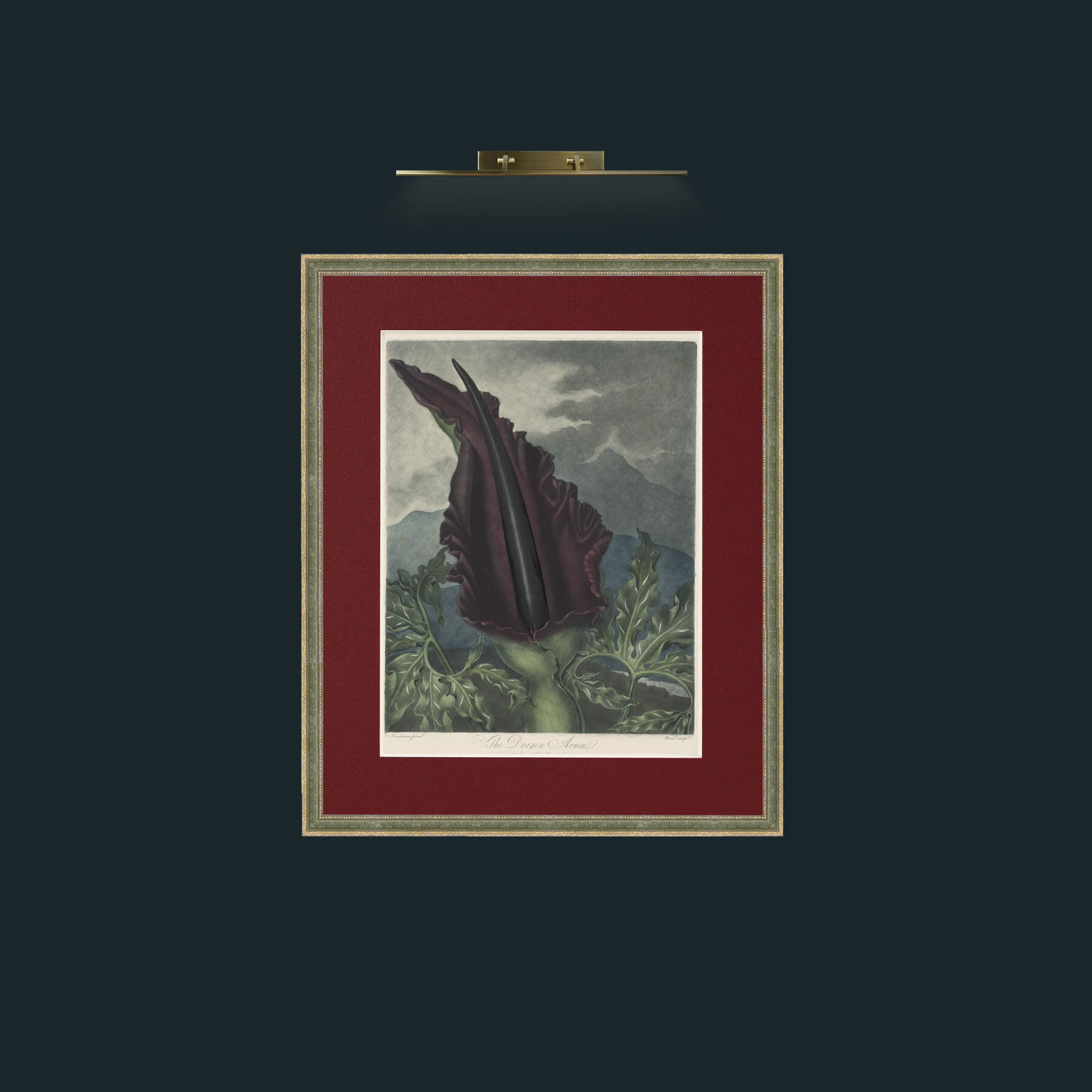 Art-Dragon Arum-Frame-2GreenGilttextured-Mount-4Red.jpg