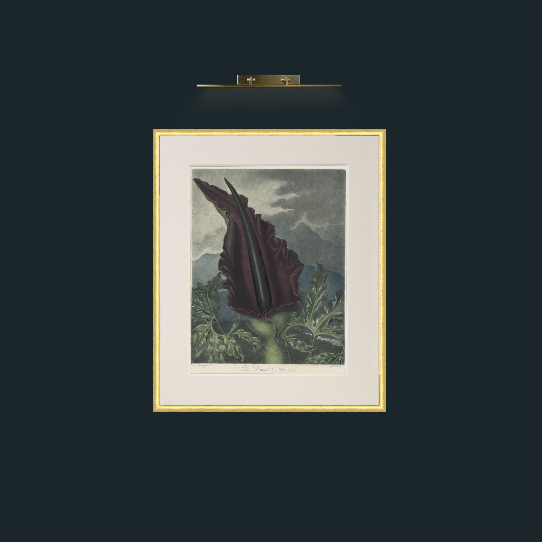 Art-Dragon Arum-Frame-3RoundedGilt-Mount-1Antique.jpg