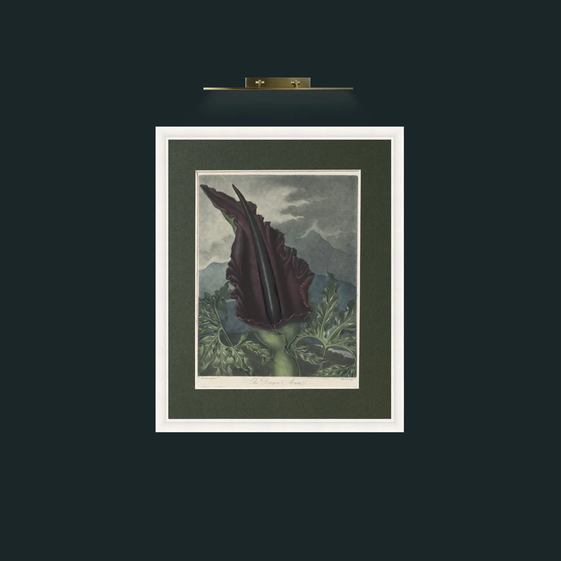 Art-Dragon Arum-Frame-5White-Mount-2Green.jpg