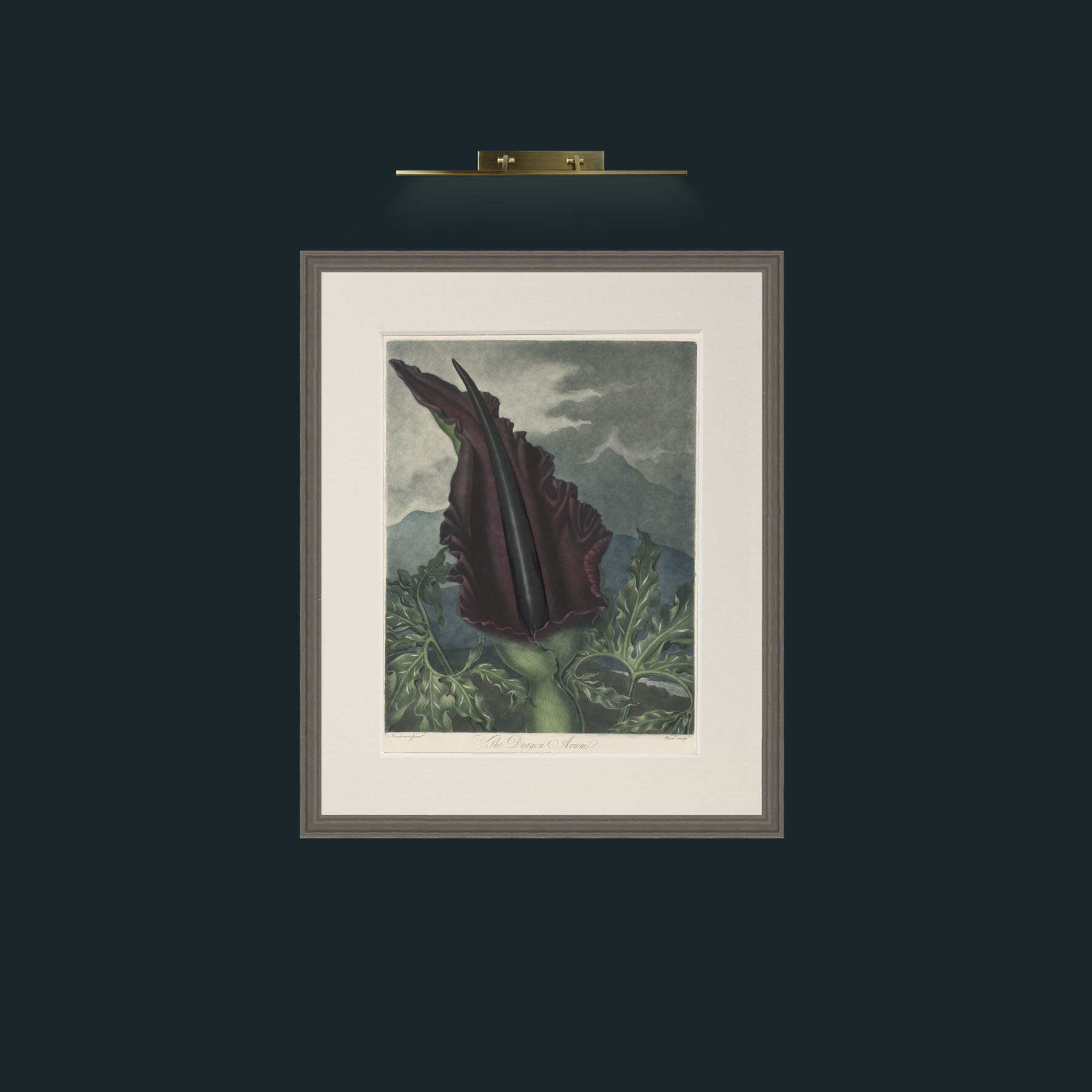 Art-Dragon Arum-Frame-6Grey-Mount-1Antique.jpg