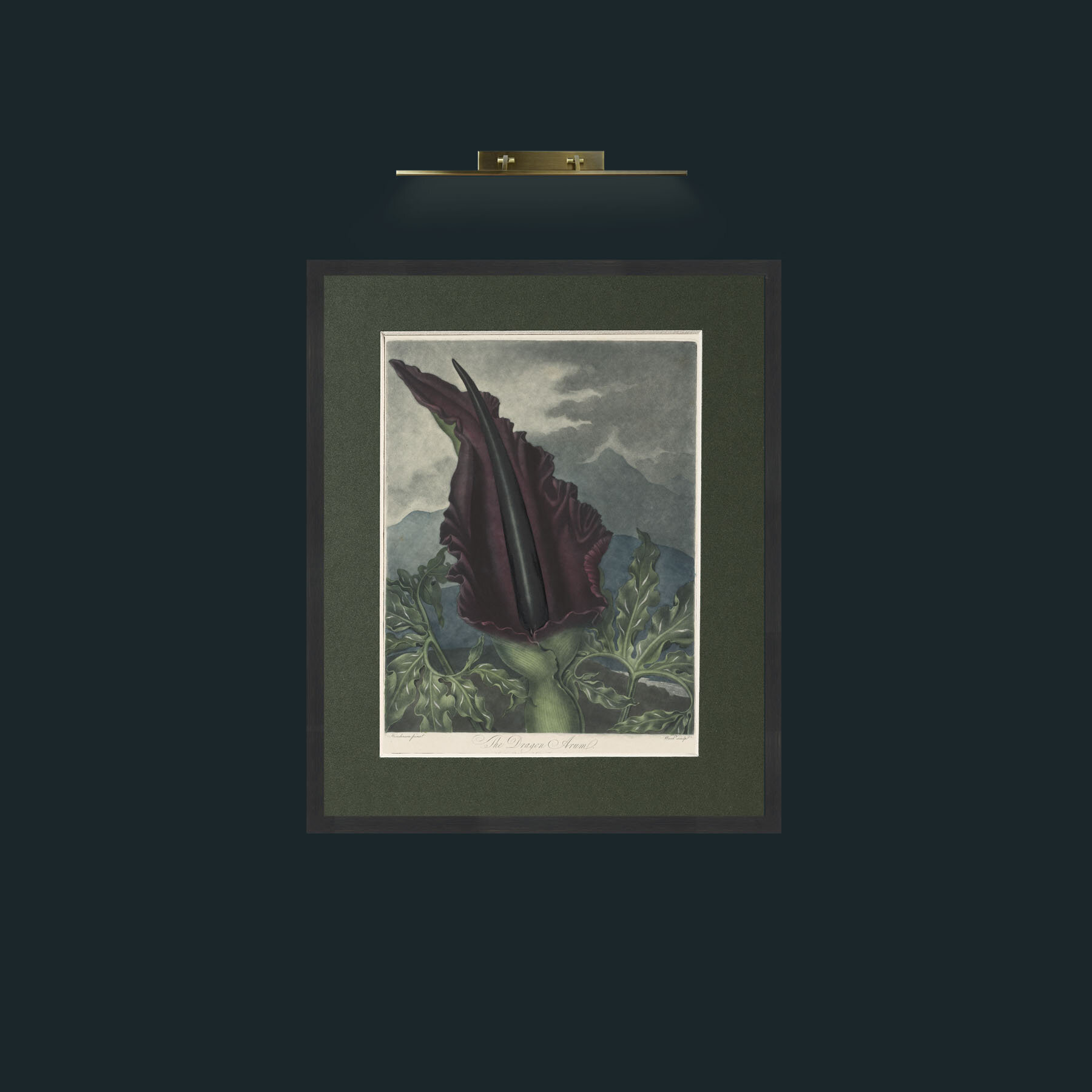 Art-Dragon Arum-Frame-7Black-Mount-2Green.jpg