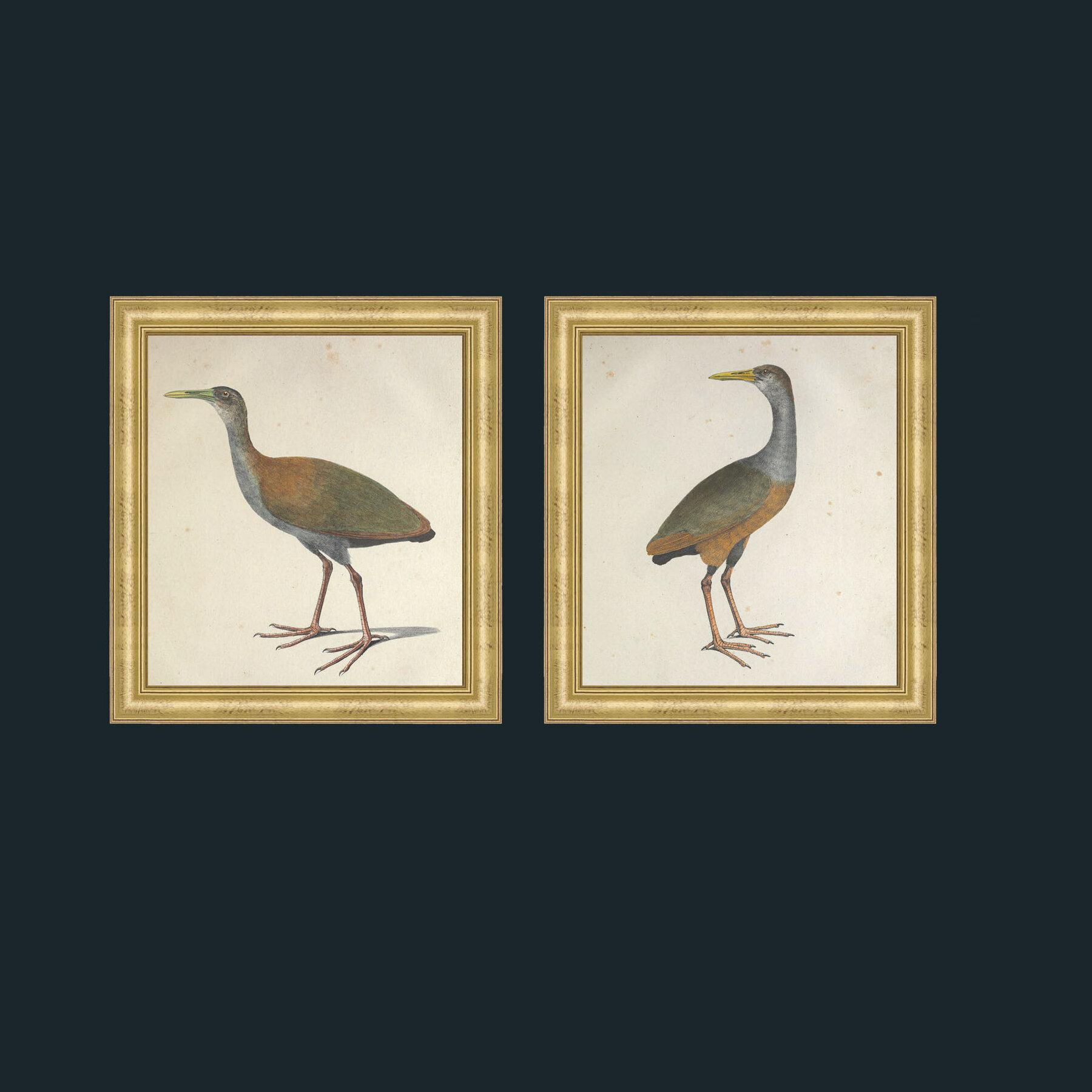 9LargeGilt.jpg