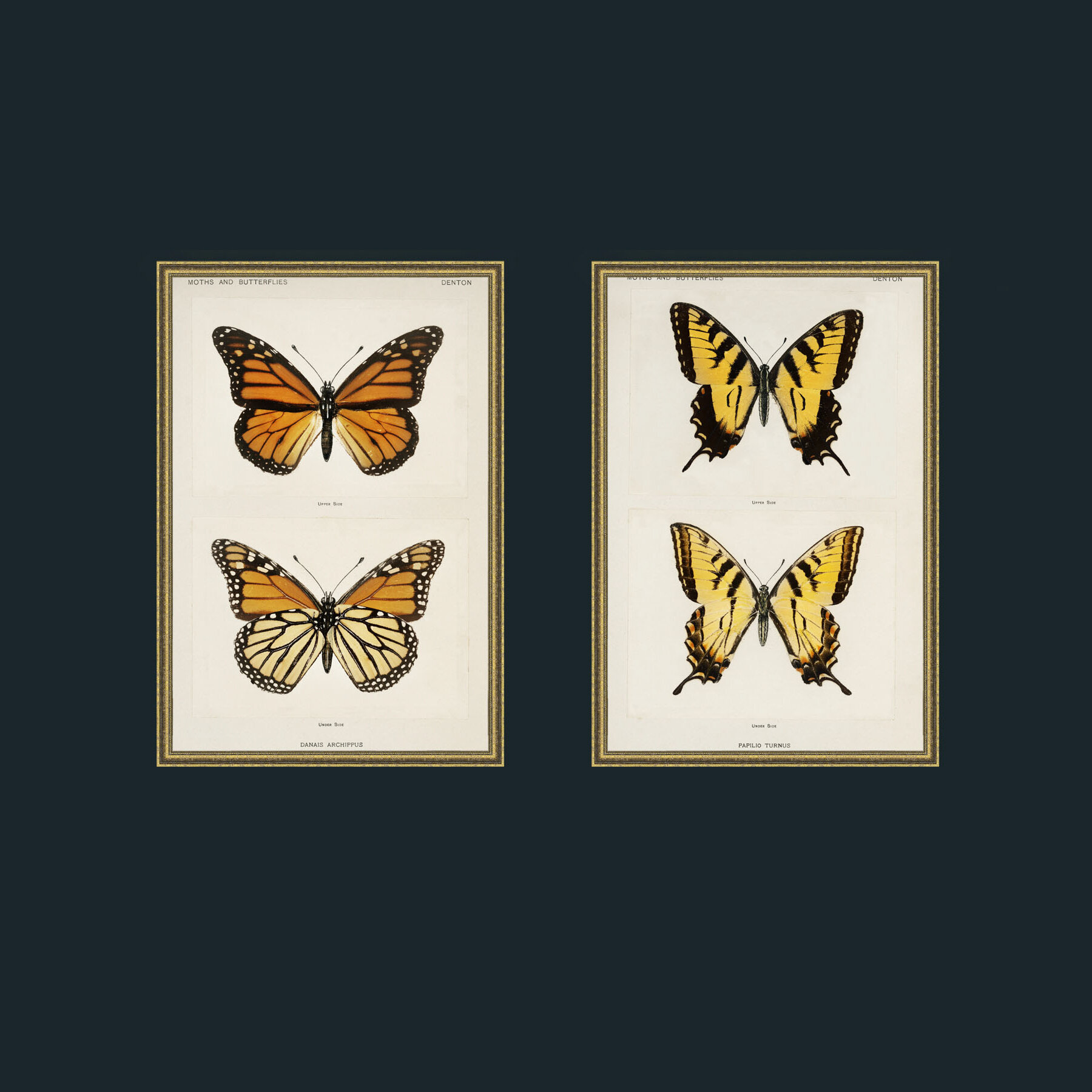 1TexturedGilt.jpg