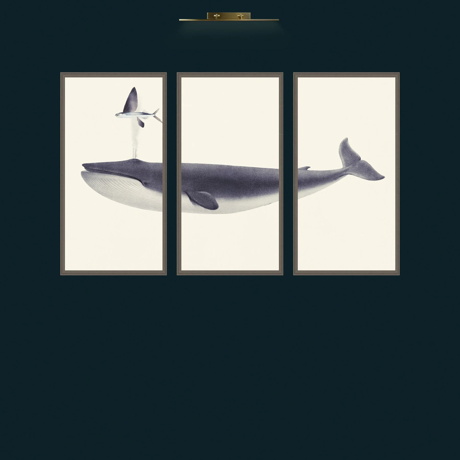 Whale of a time.jpg