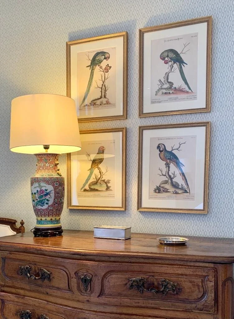  Parrot Collection 1 in a beautiful dusky blue guest bedroom. 