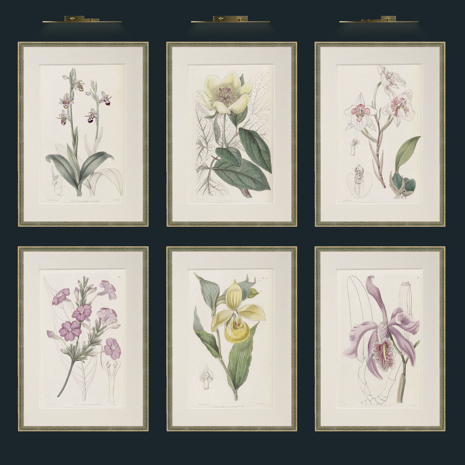 Flower Set of 6 1.jpg