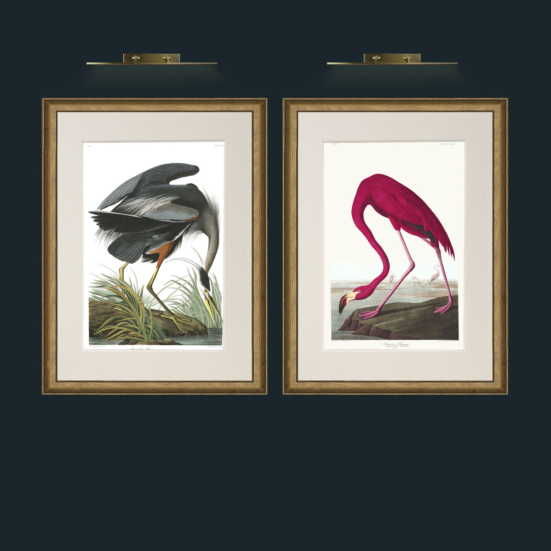 Flamingo and Heron.jpg