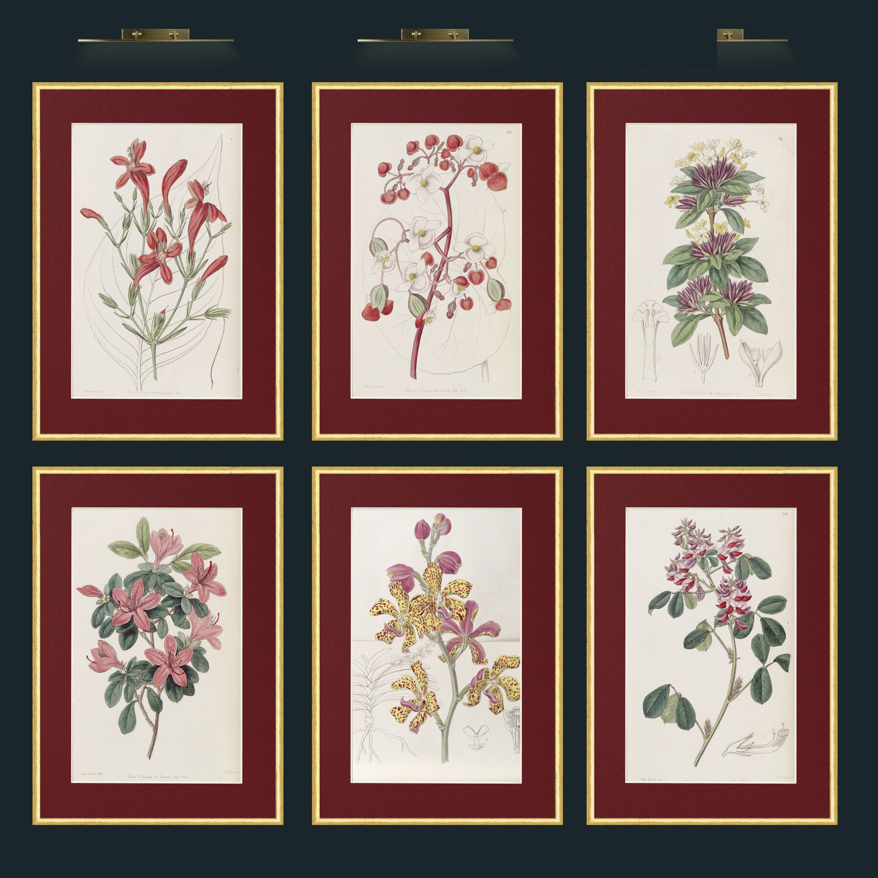 Flower Set of 6 2.jpg