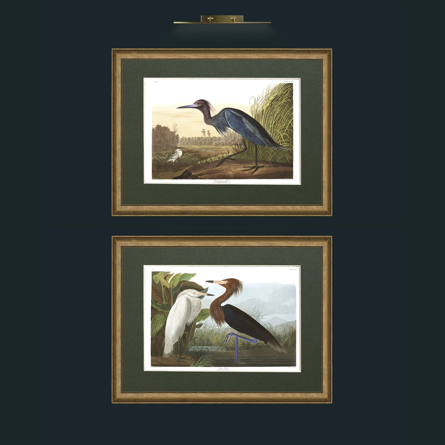 Haron and Crane.jpg