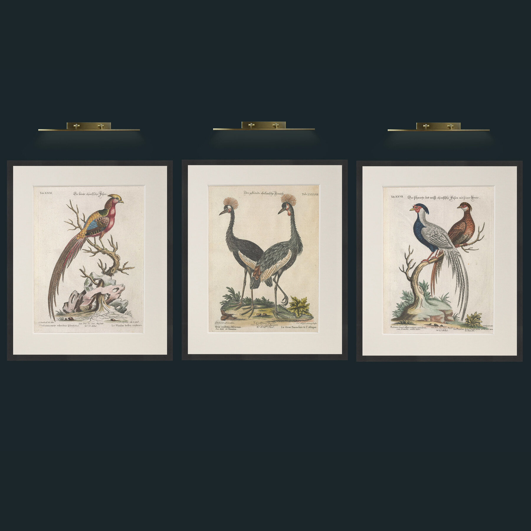 Pheasant and Partrudge.jpg