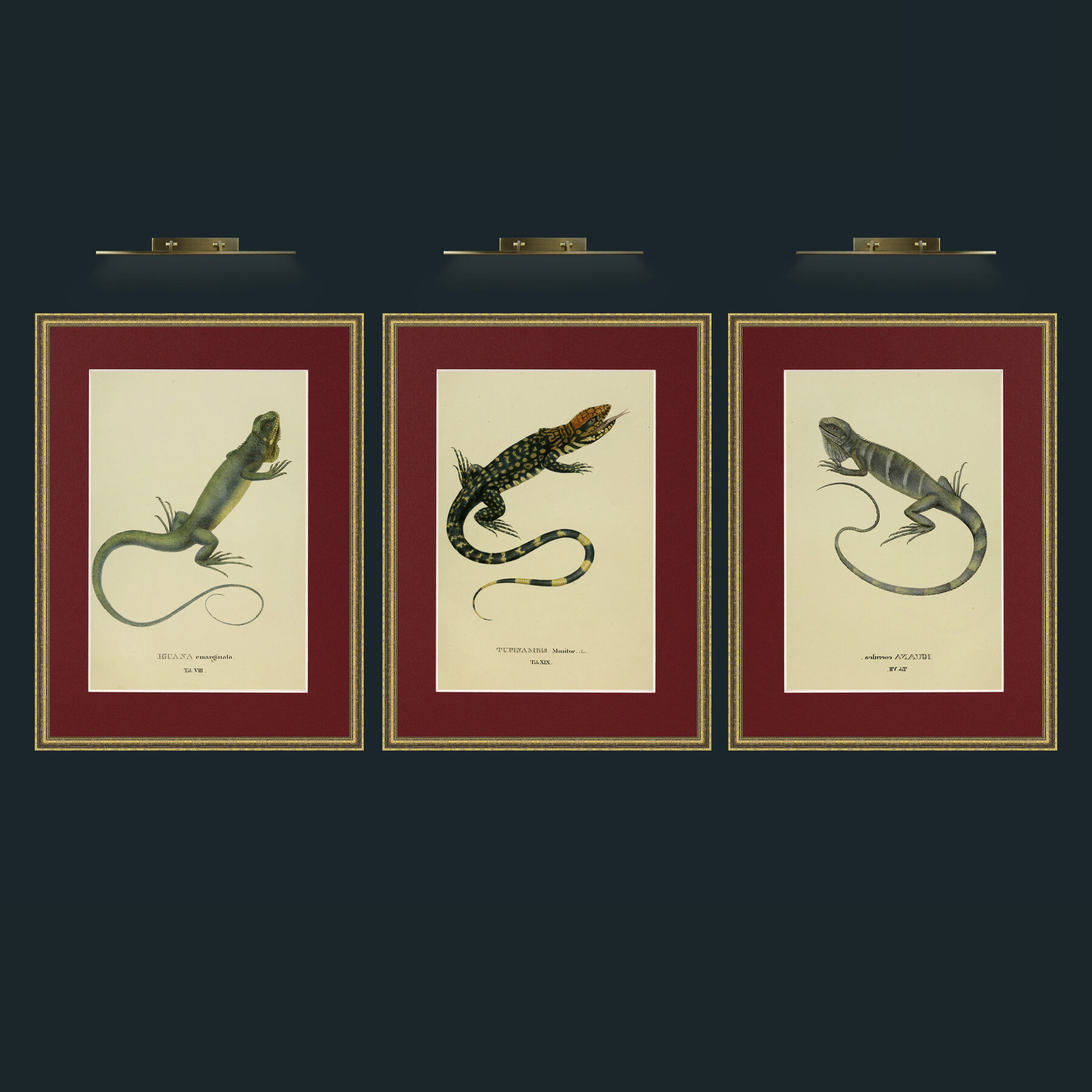 Three Lizards.jpg