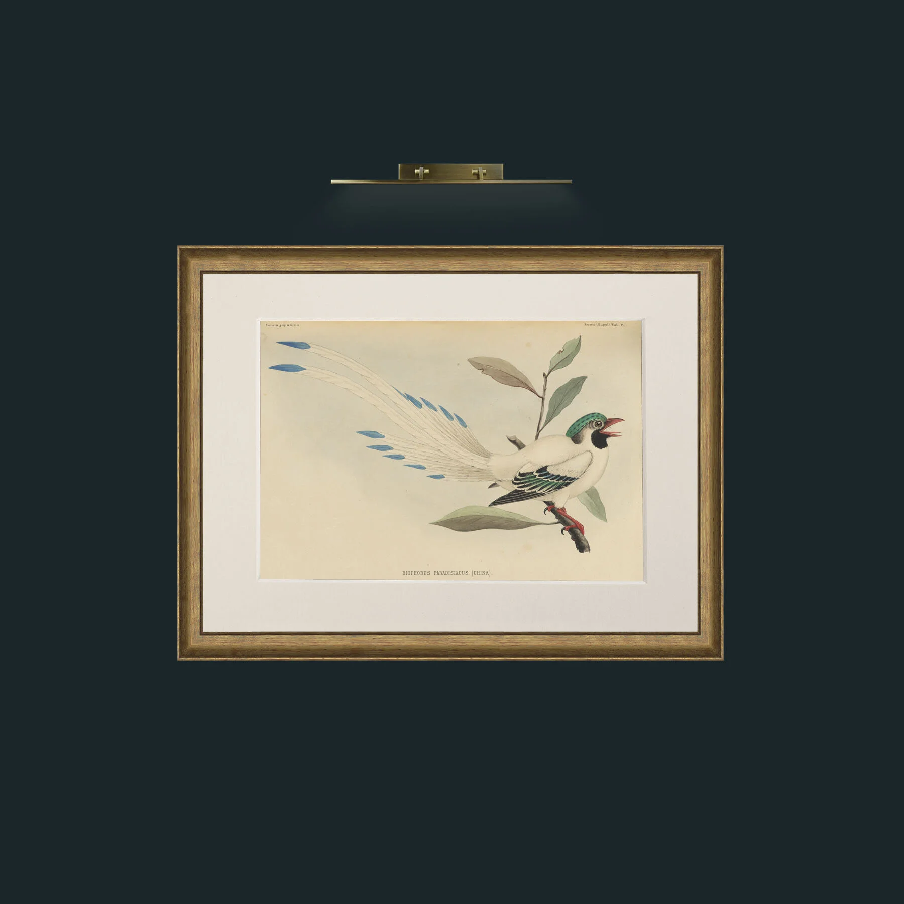 Art-Aviumindividual001.jpg-Frame-8AntiqueRedGoldGilt-Mount-1Antique.jpg