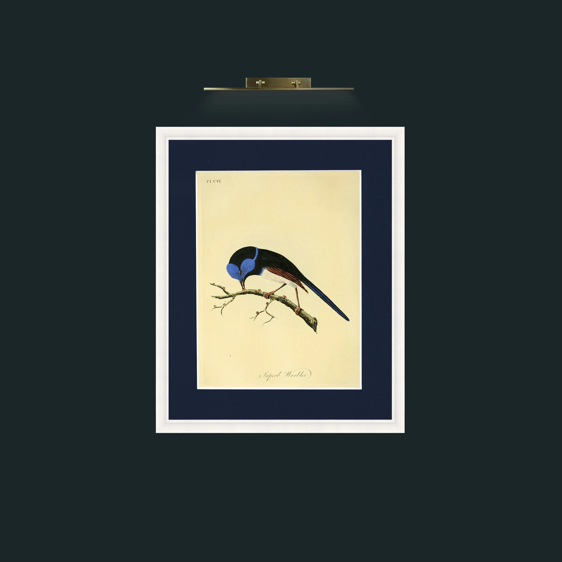 Art-Aviumindividual008.jpg-Frame-5White-Mount-3Blue.jpg
