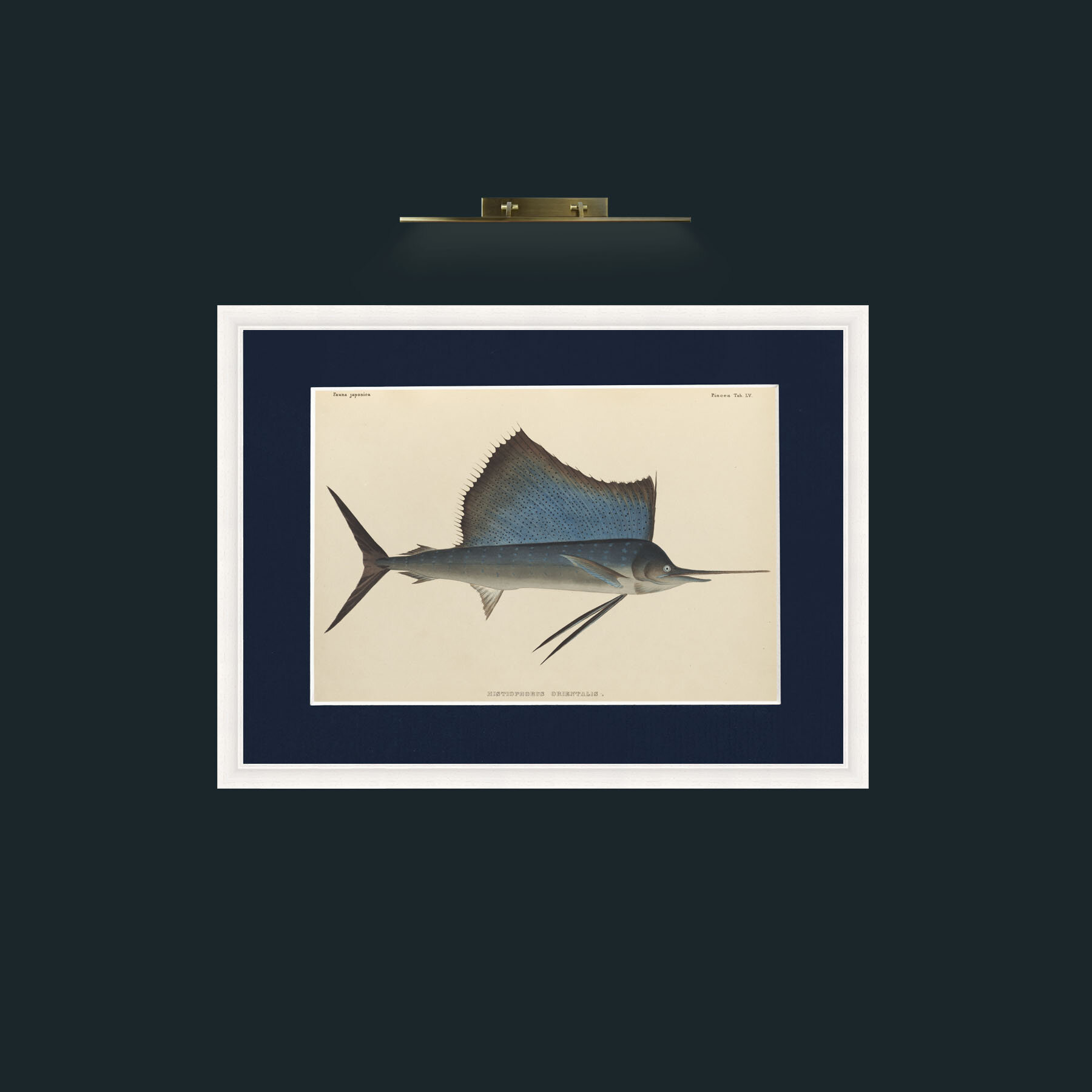 Art-Layer 1-Frame-5White-Mount-3Blue.jpg