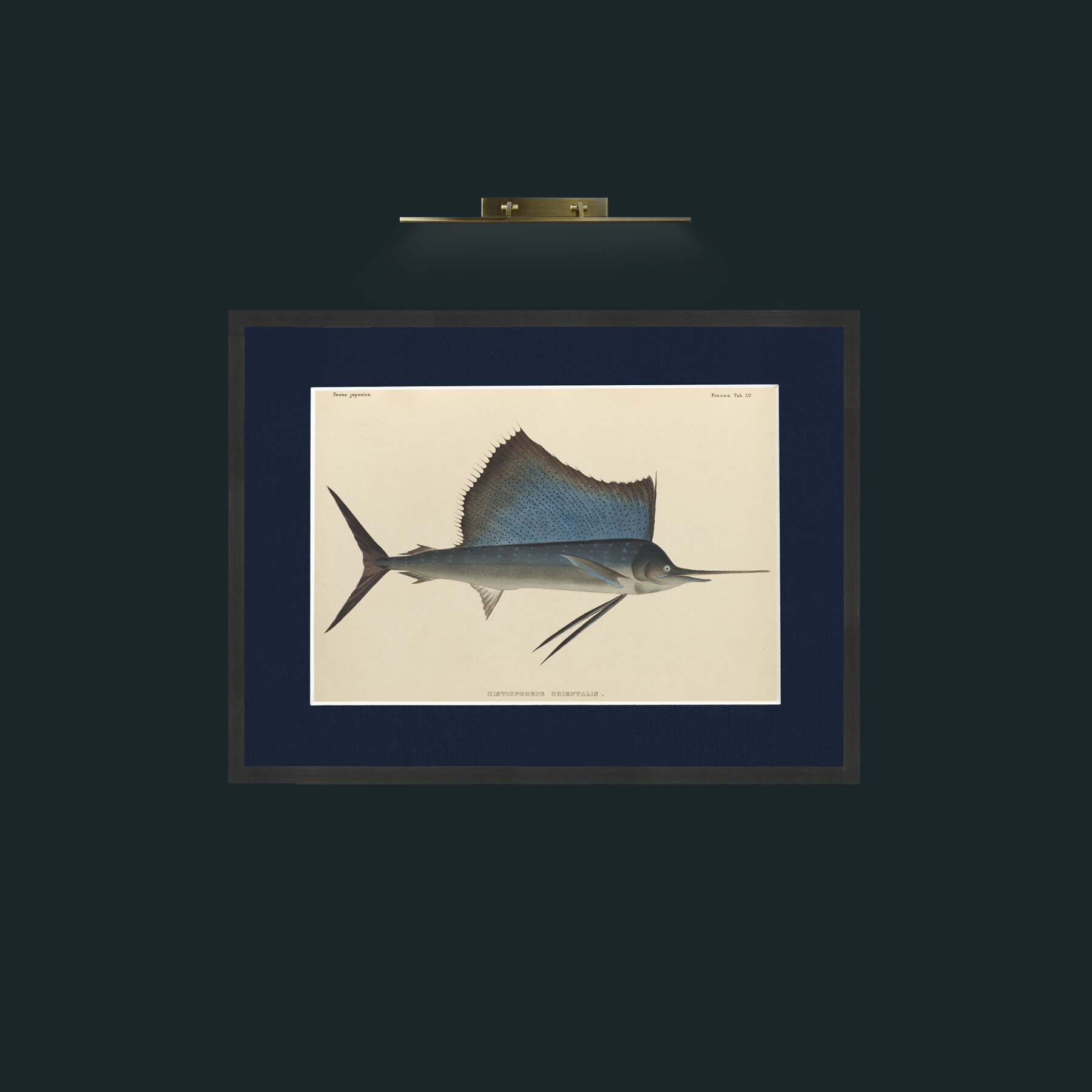 Art-Layer 1-Frame-7Black-Mount-3Blue.jpg
