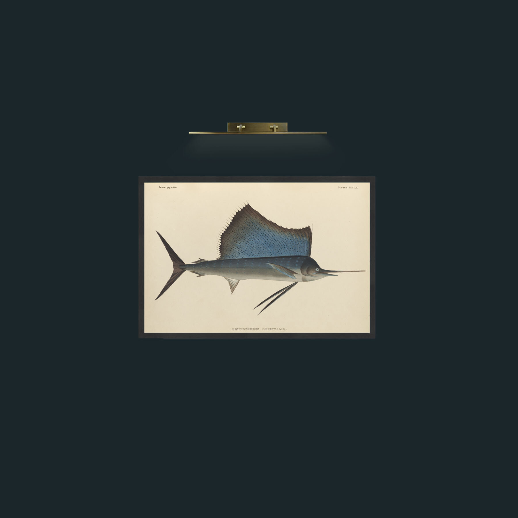 Art-Layer 1-Frame-7Black.jpg