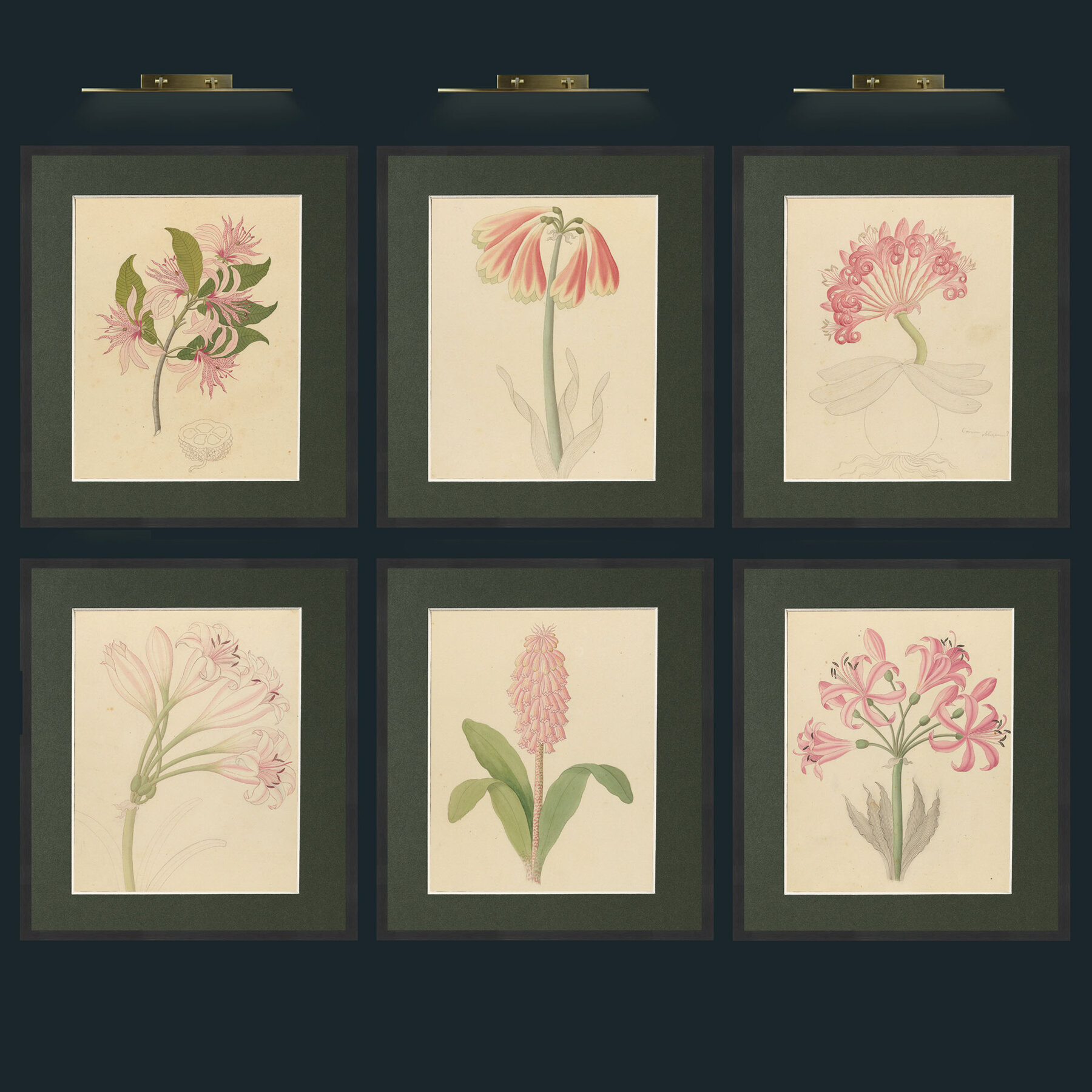 Pink Flower Collection 2.jpg