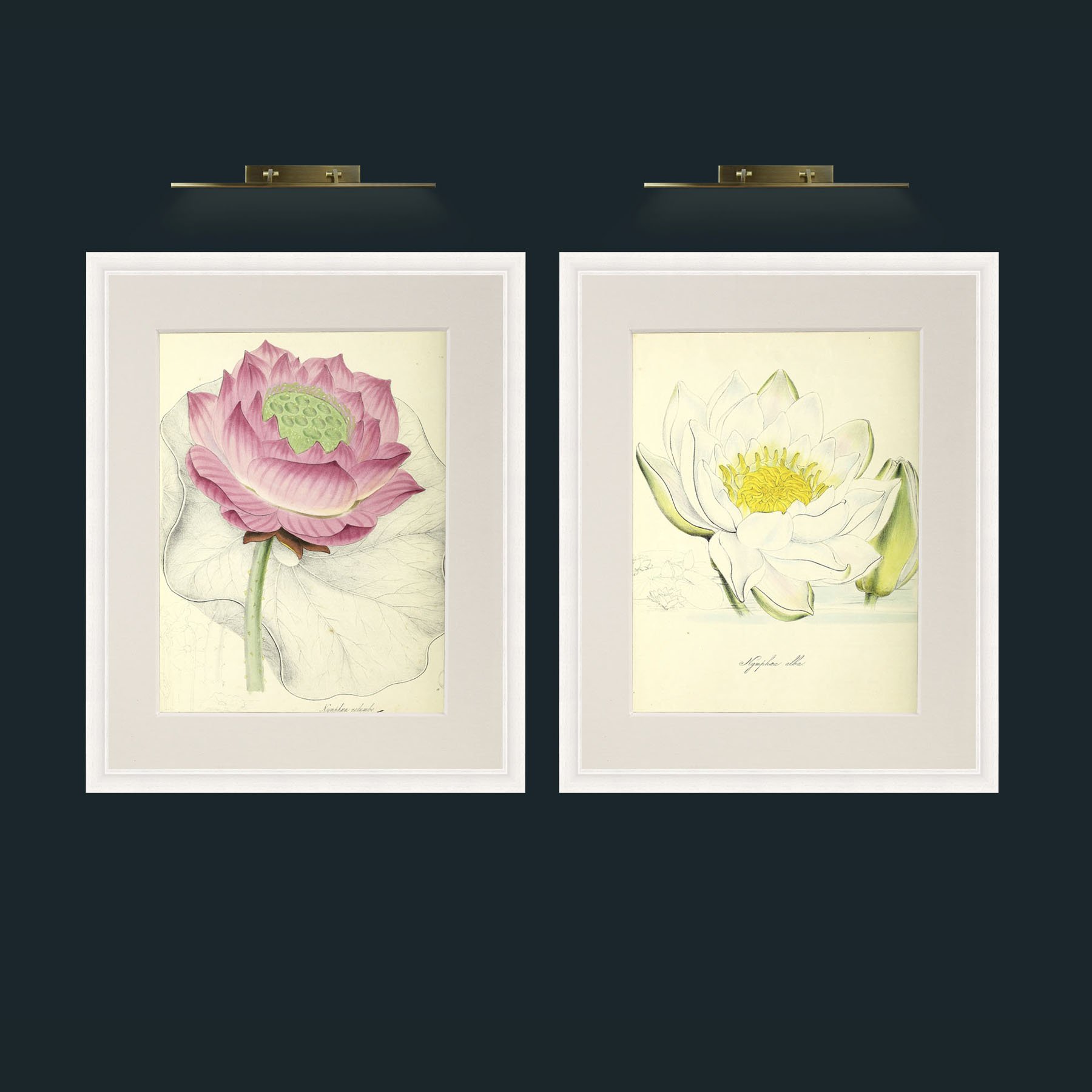 Pair of Large Flowers.jpg