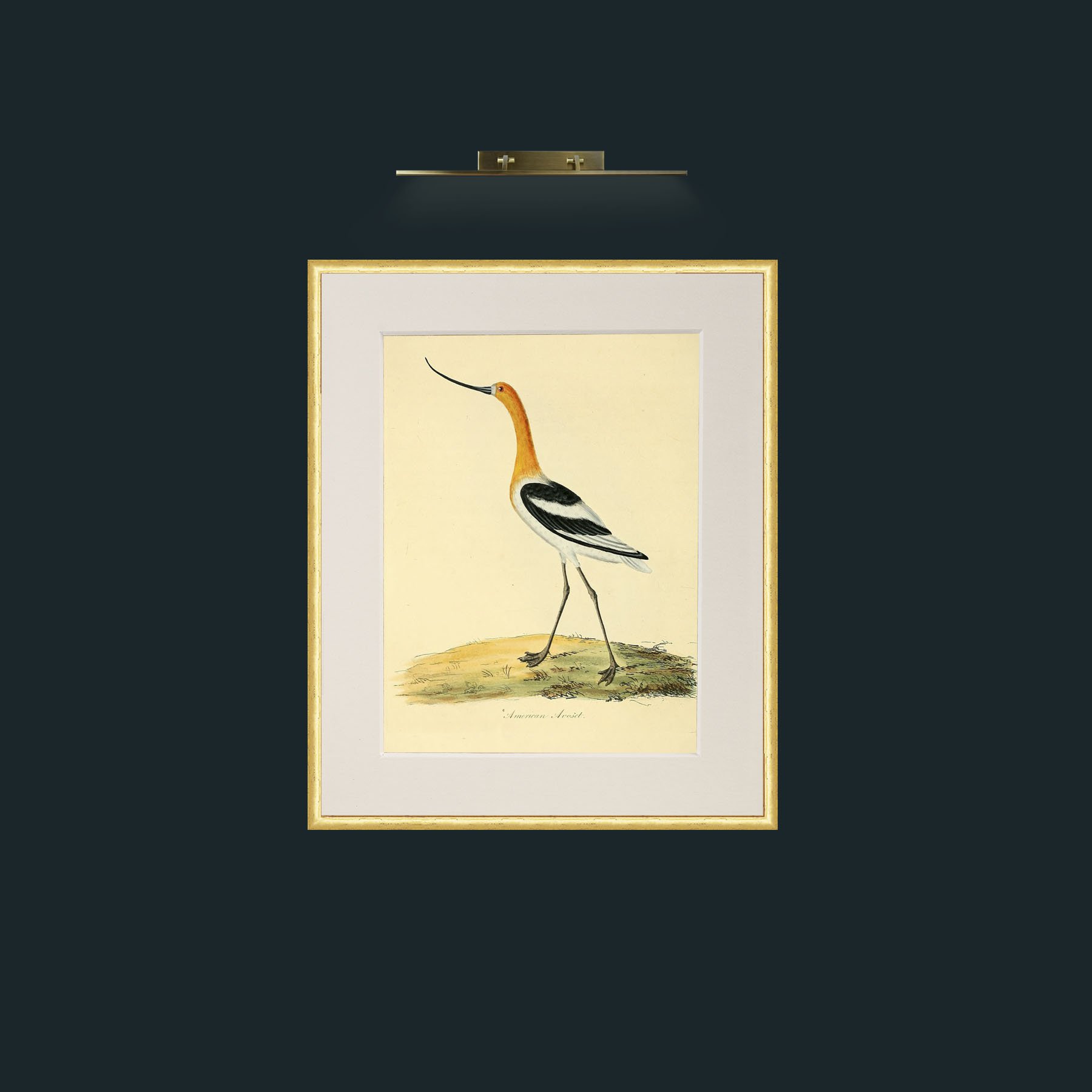 Frame-3RoundedGilt-Mount-1Antique-Art-Background.jpg