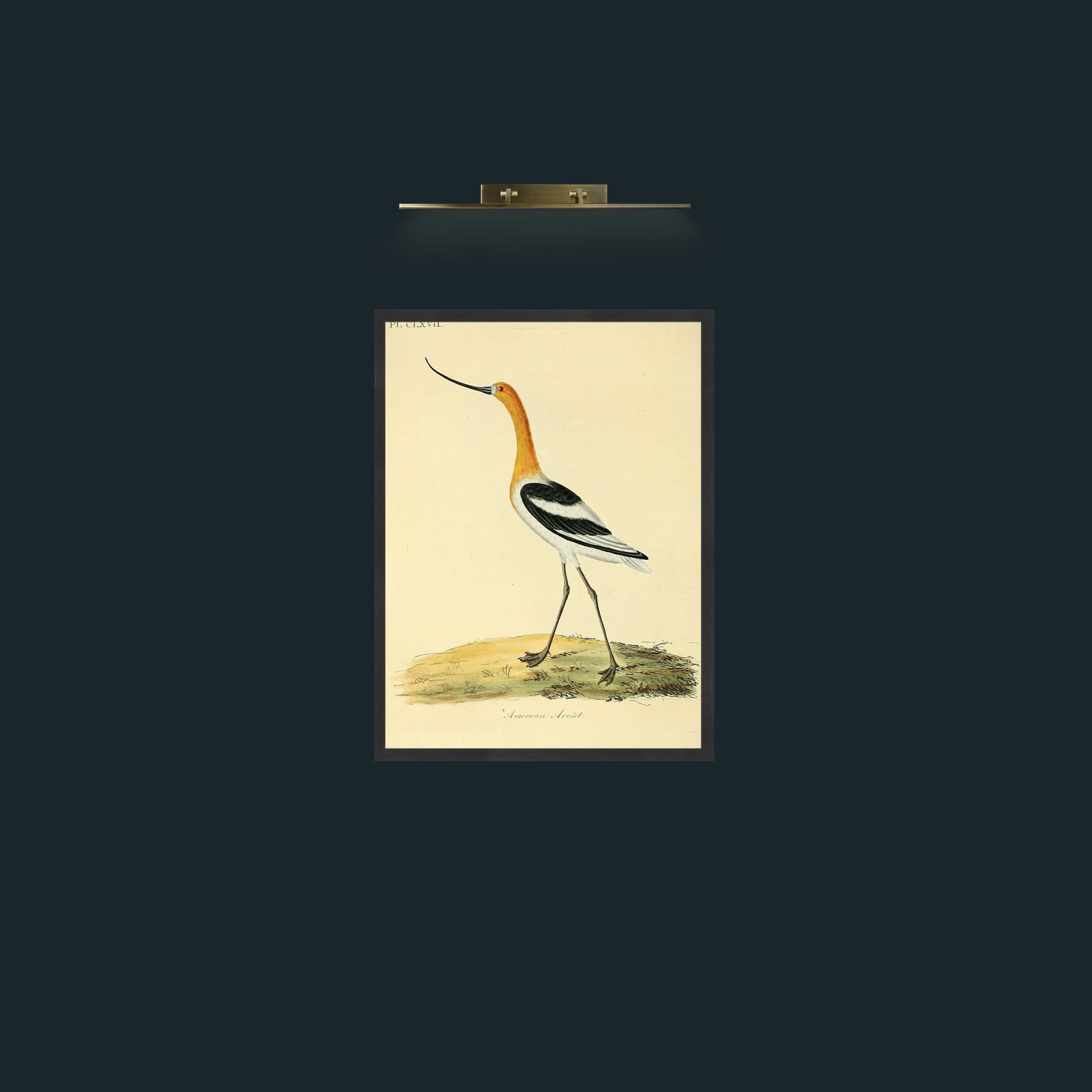 Frame-7Black-Art-Background.jpg