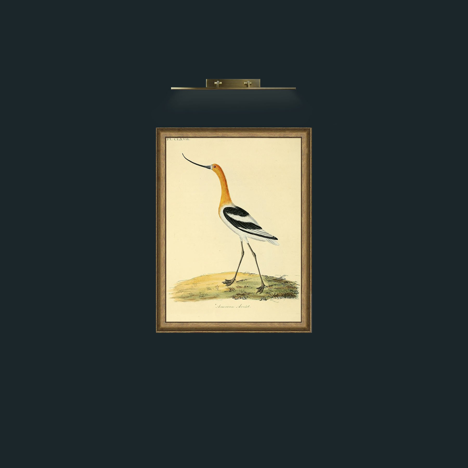 Frame-8RedGreenGilt-Art-Background.jpg