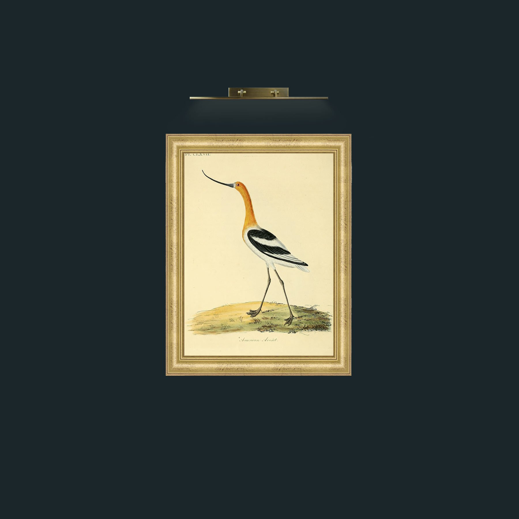 Frame-9WideGilt-Art-Background.jpg