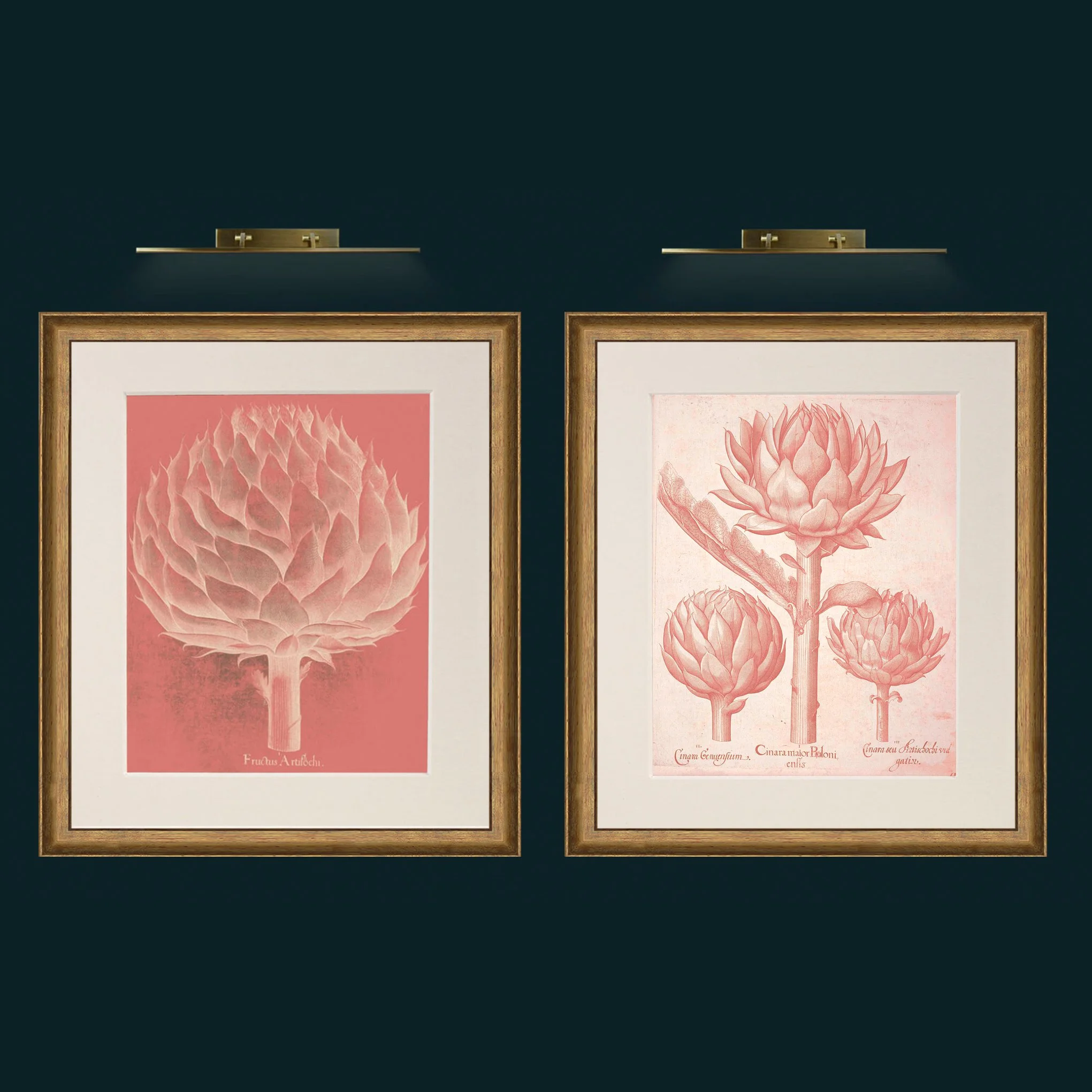 artichoke-artichokes 2.jpg