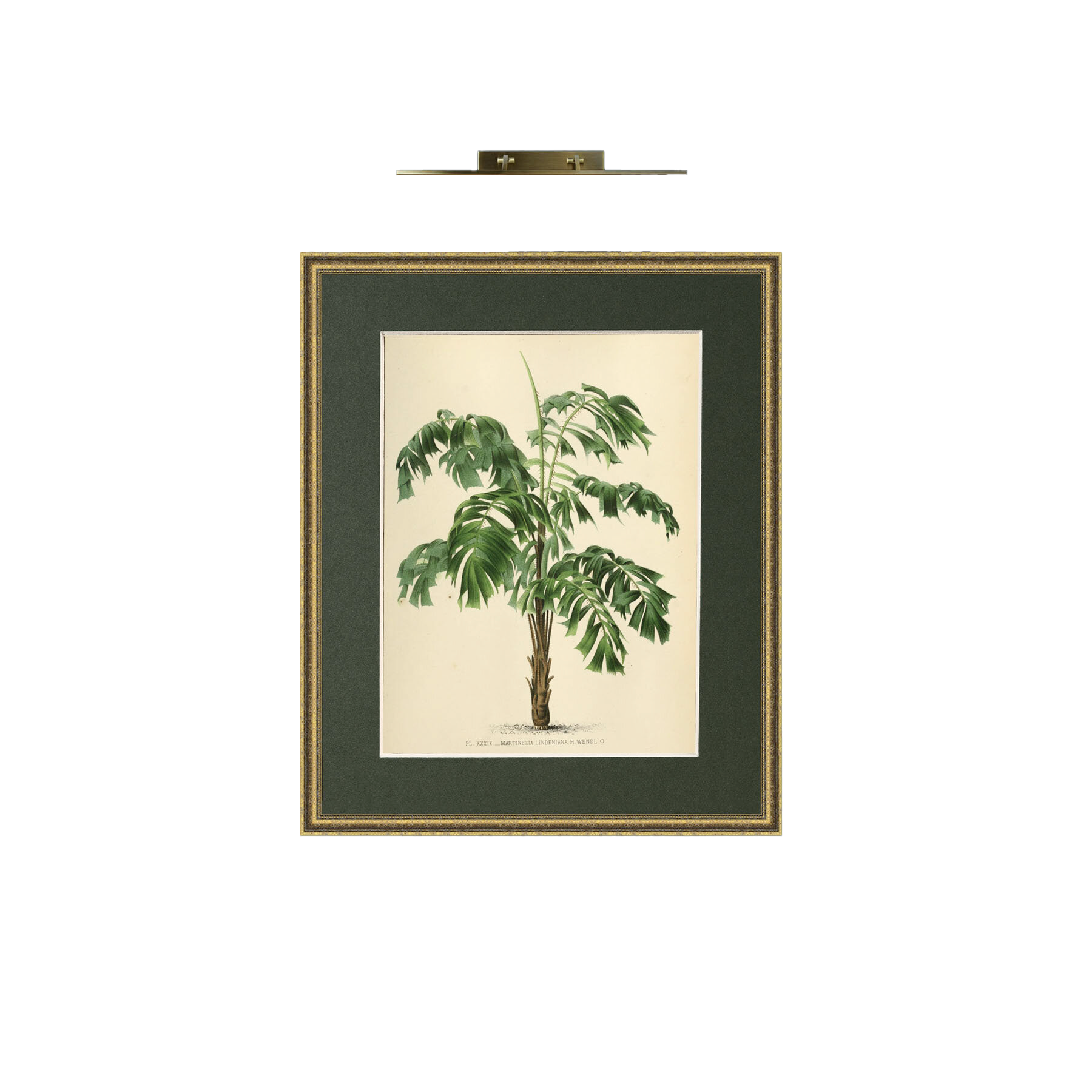 Art-Palm+12+(2) copy.png