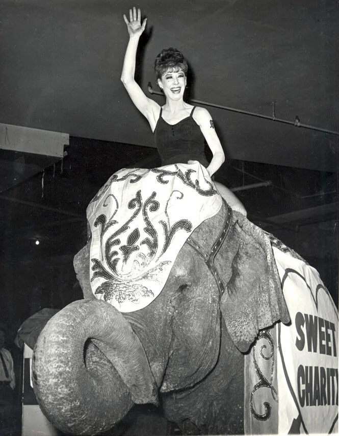 Gwen Verdon "Ringling Bros and Barnum & Bailey Circus" Sweet Charity, 1966