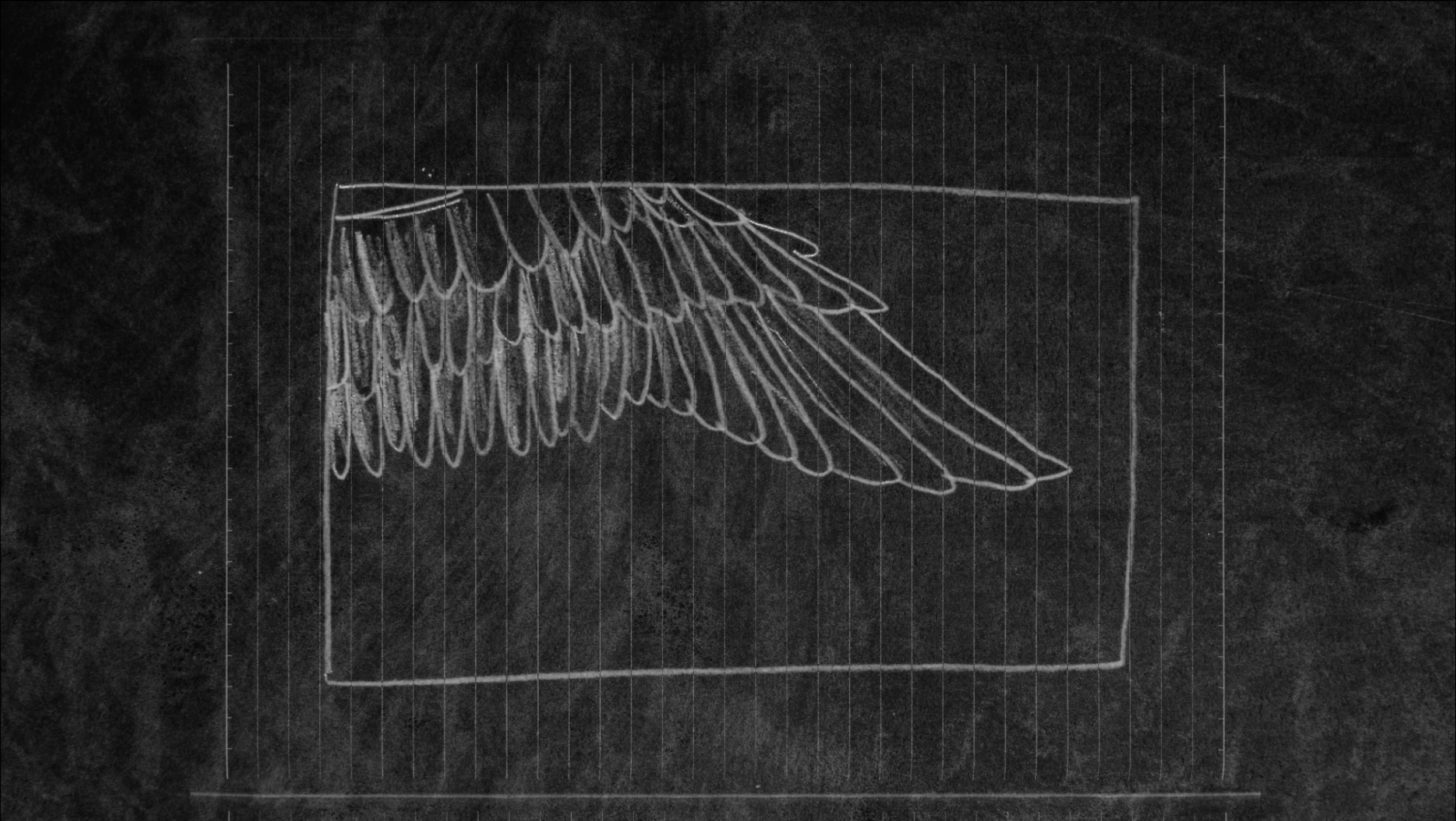 Feeding Birds still 3.PNG