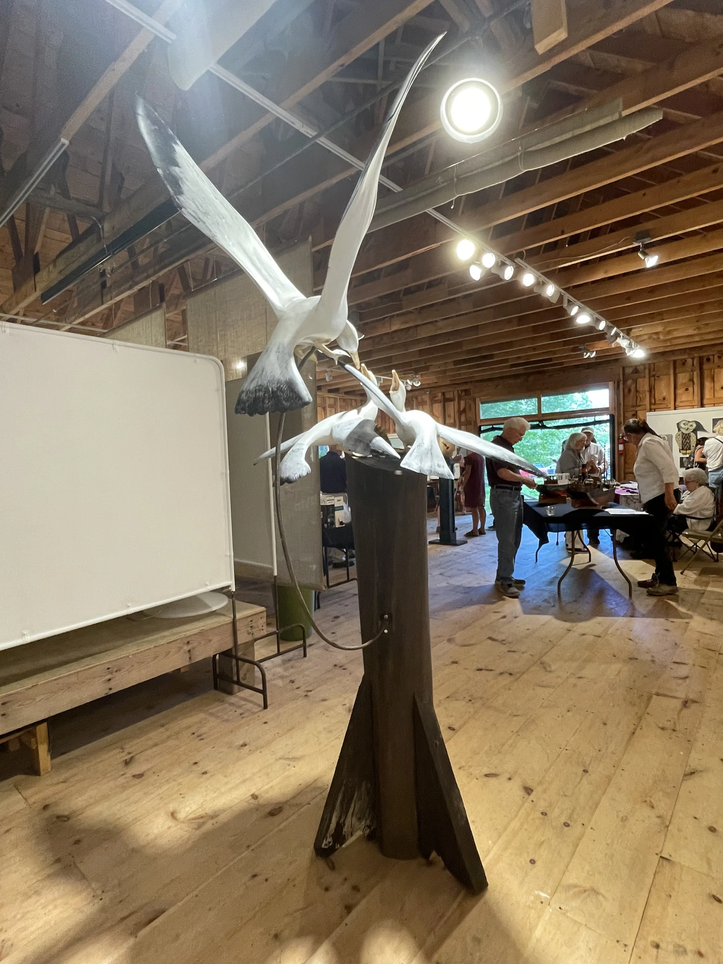 ‘Wildlife in Maine’ at Arts in the Barn, Cushing