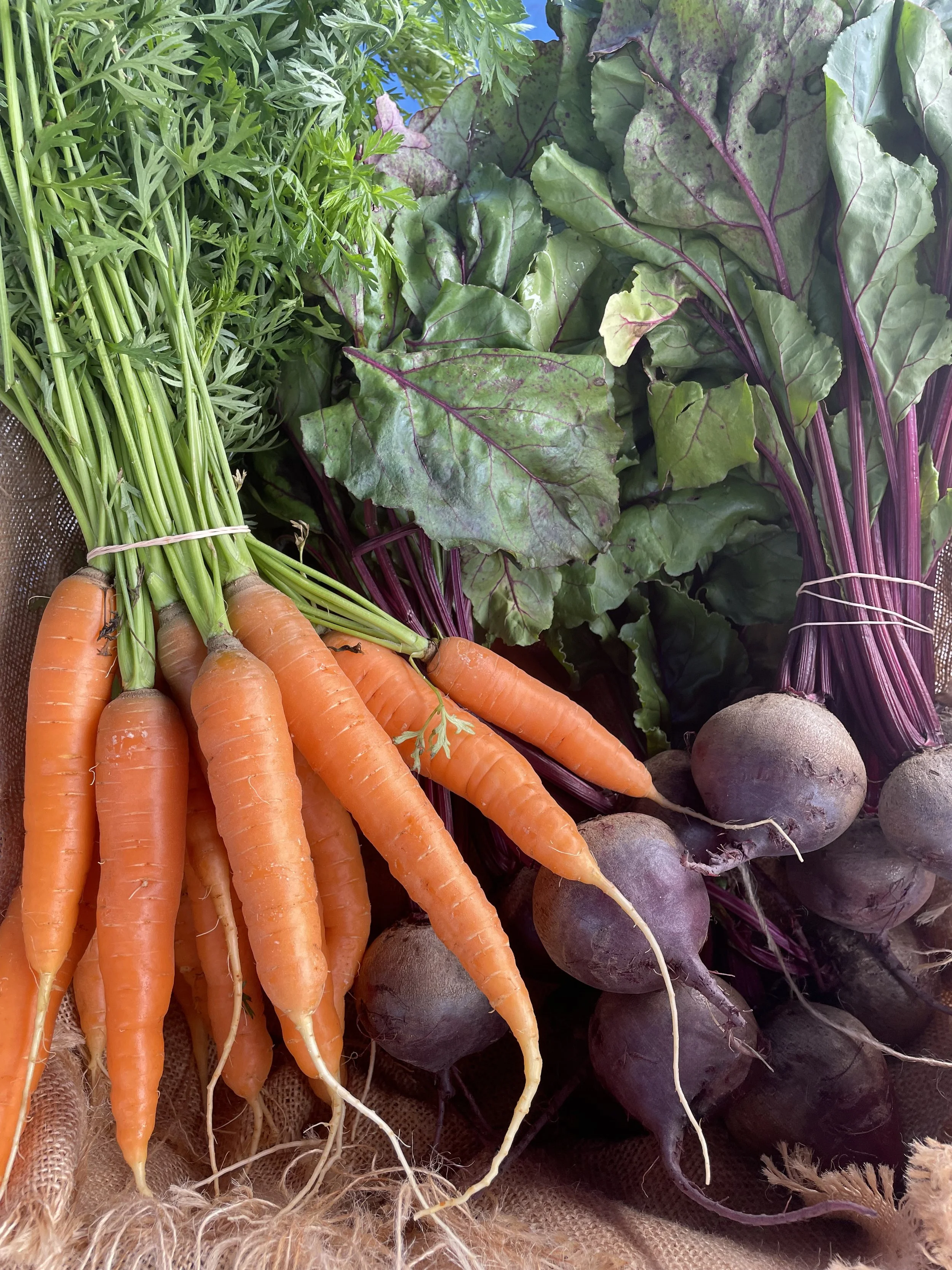 Wiscasset Farmers' Market