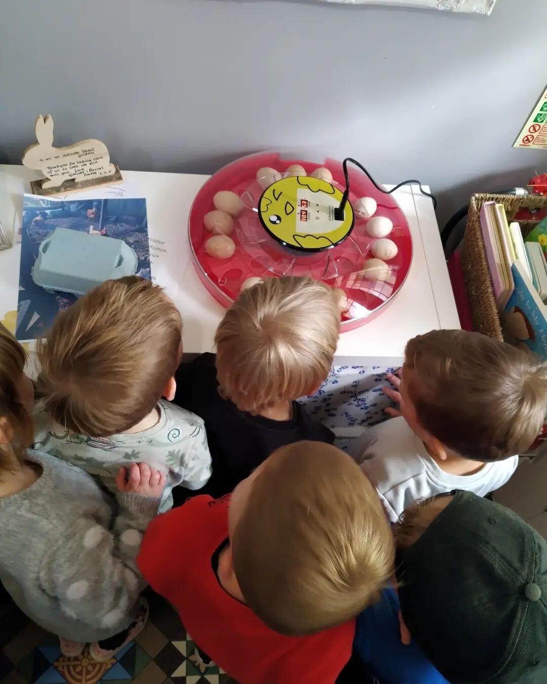 🐣 Introducing our new little friends that have come to stay! 🐣

The children are egg-cited to watch the eggs hatch into chicks in 21 days time and have enjoyed learning about the life cycle of a chicken.

#chicks #chickens #lifecycle #lifecycleofac