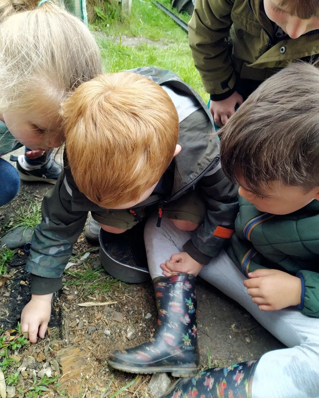 🐝🐞🦋 BUG HUNT 🐜🐞🐛

The children have been hunting the garden this afternoon for different bugs and observing them together. 

#bughunt #bugs #nature #understandingtheworld #insects #huntingforbugs #outdoorfun #outdoorexploring #outdoorlearning #