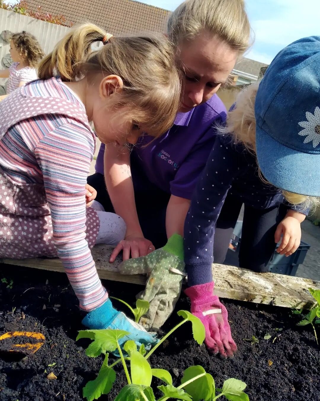 PLANTING VEGETABLES 🌽🧅🥕

The children have had a busy morning planting this year's vegetables in the vegetable patch. 

#plantingvegetables #vegetables #vegetablepatch #lifecycle #lifecycles #growth #growingvegetables #understandingtheworld #early