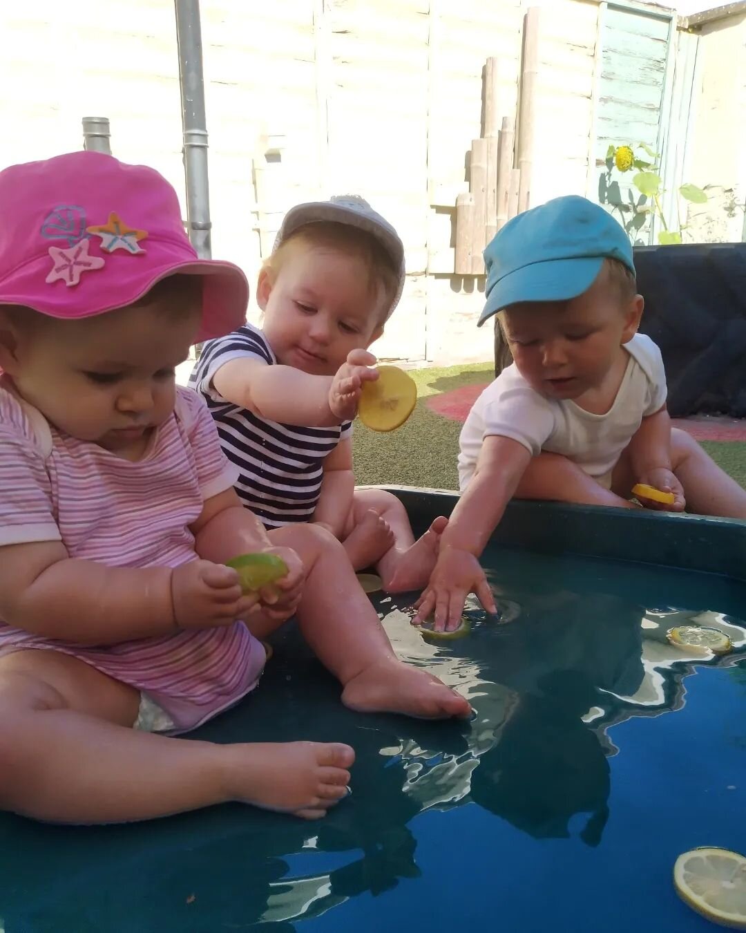 Babies exploring their senses using lemons and limes 🍋 

#babies #babyplay #babysensory #exploringsenses #lemonandlime #foodplay #sour #waterplay #senses #taste #feel #earlyyearslearning #learningthroughplay #eyfs