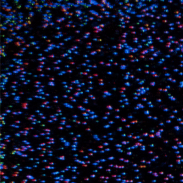 DSC_1700_8.gif