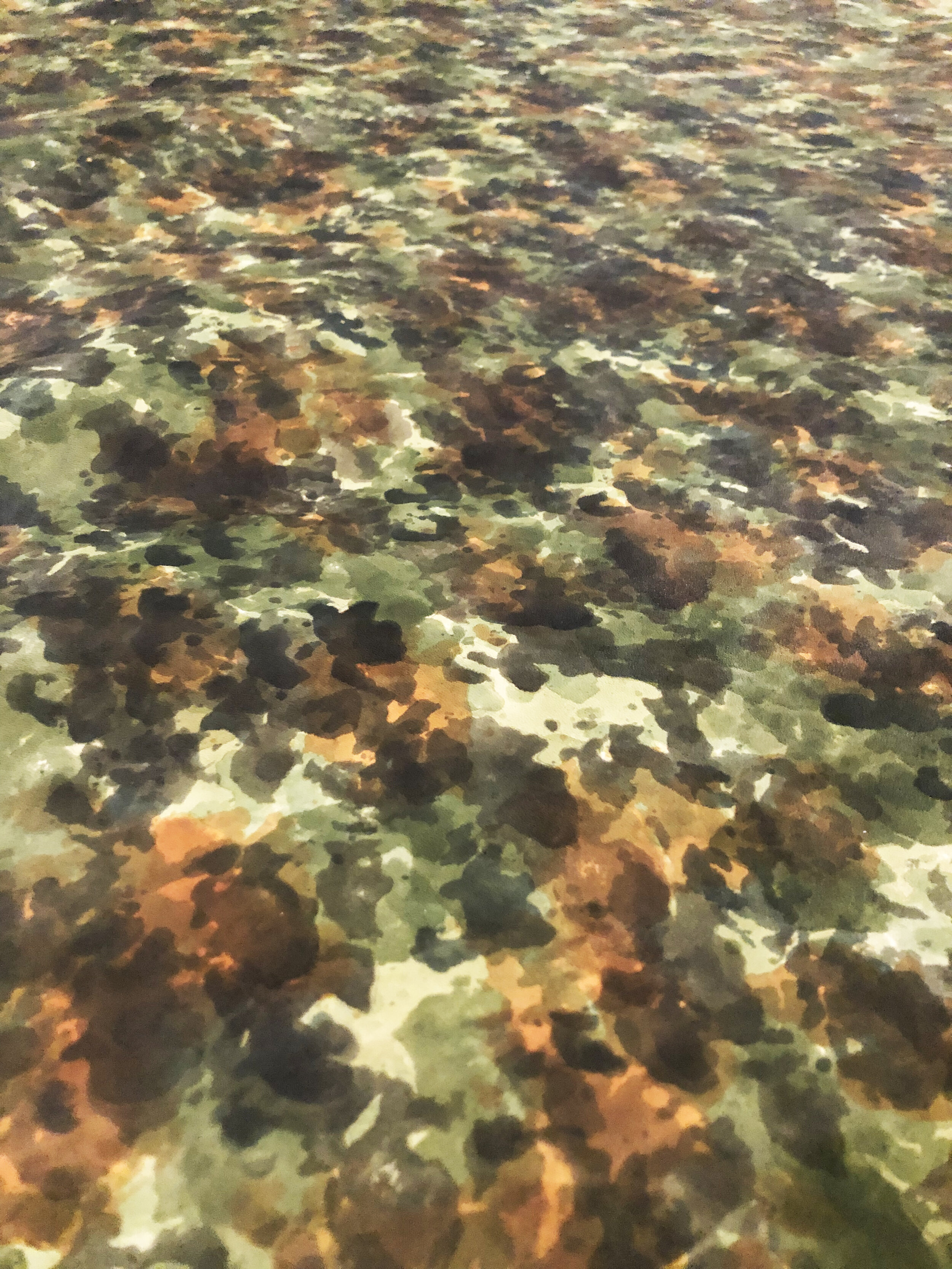 Camo6.jpg