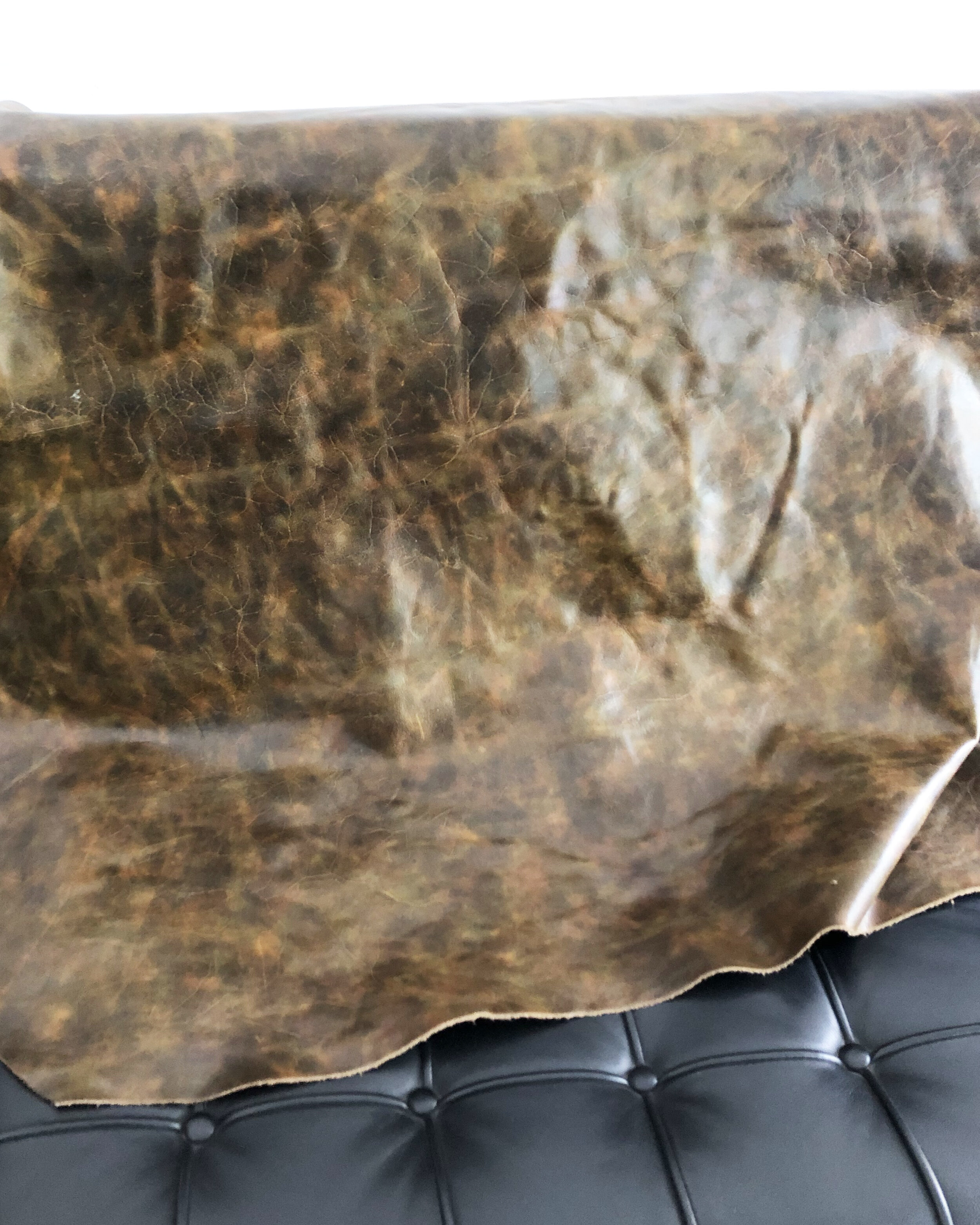 Camo by tipping roller, CF Stead