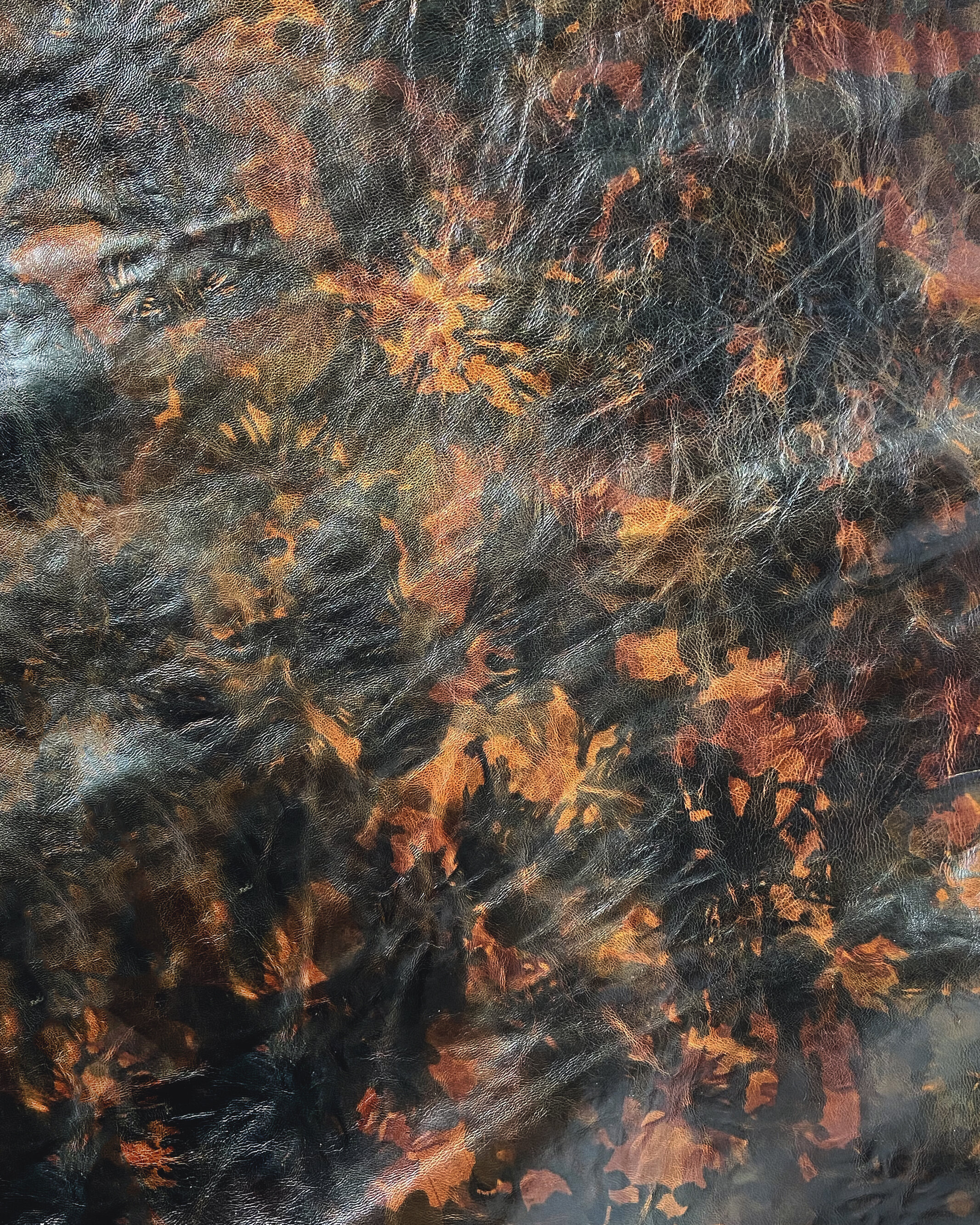 Camo4.jpg