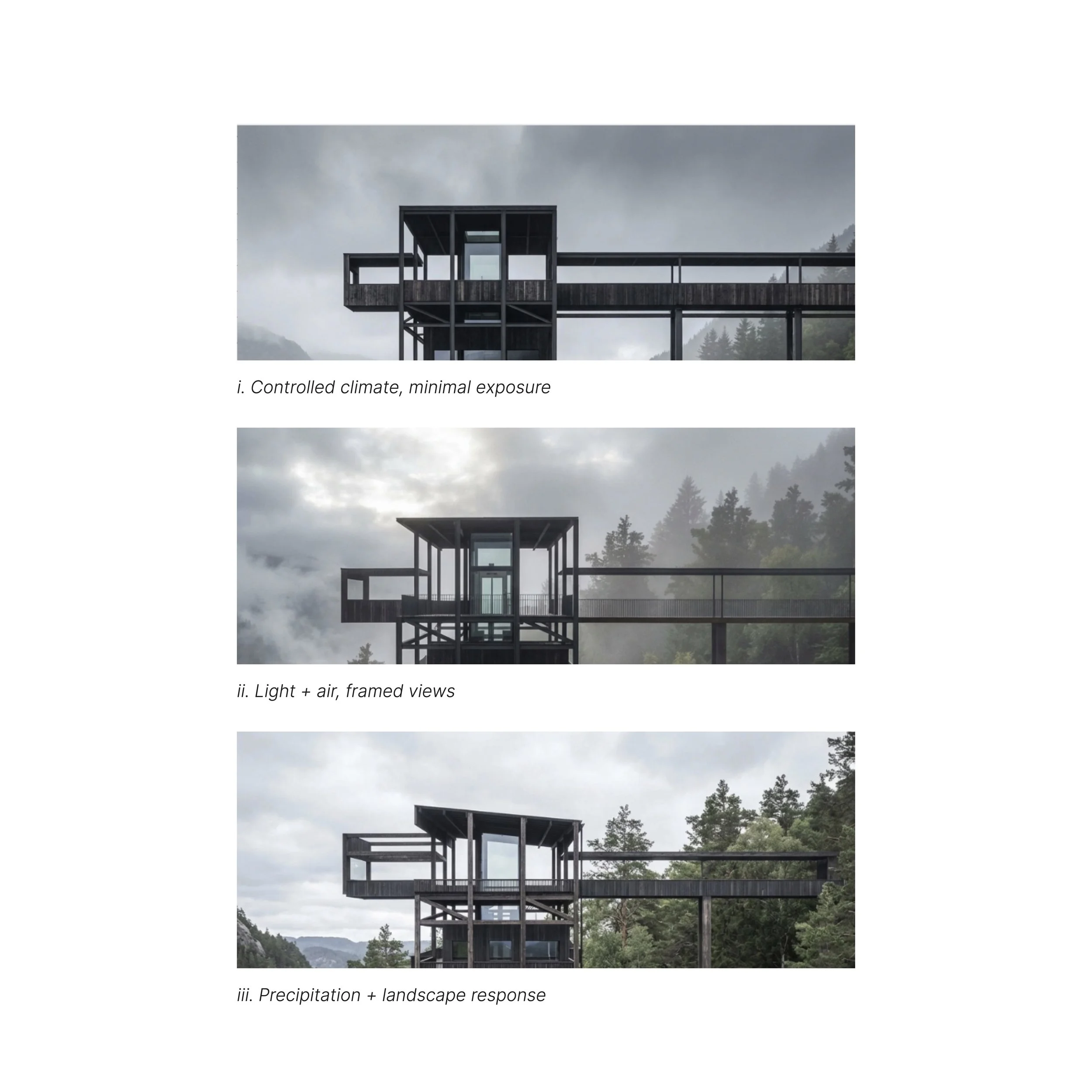 roof.jpg