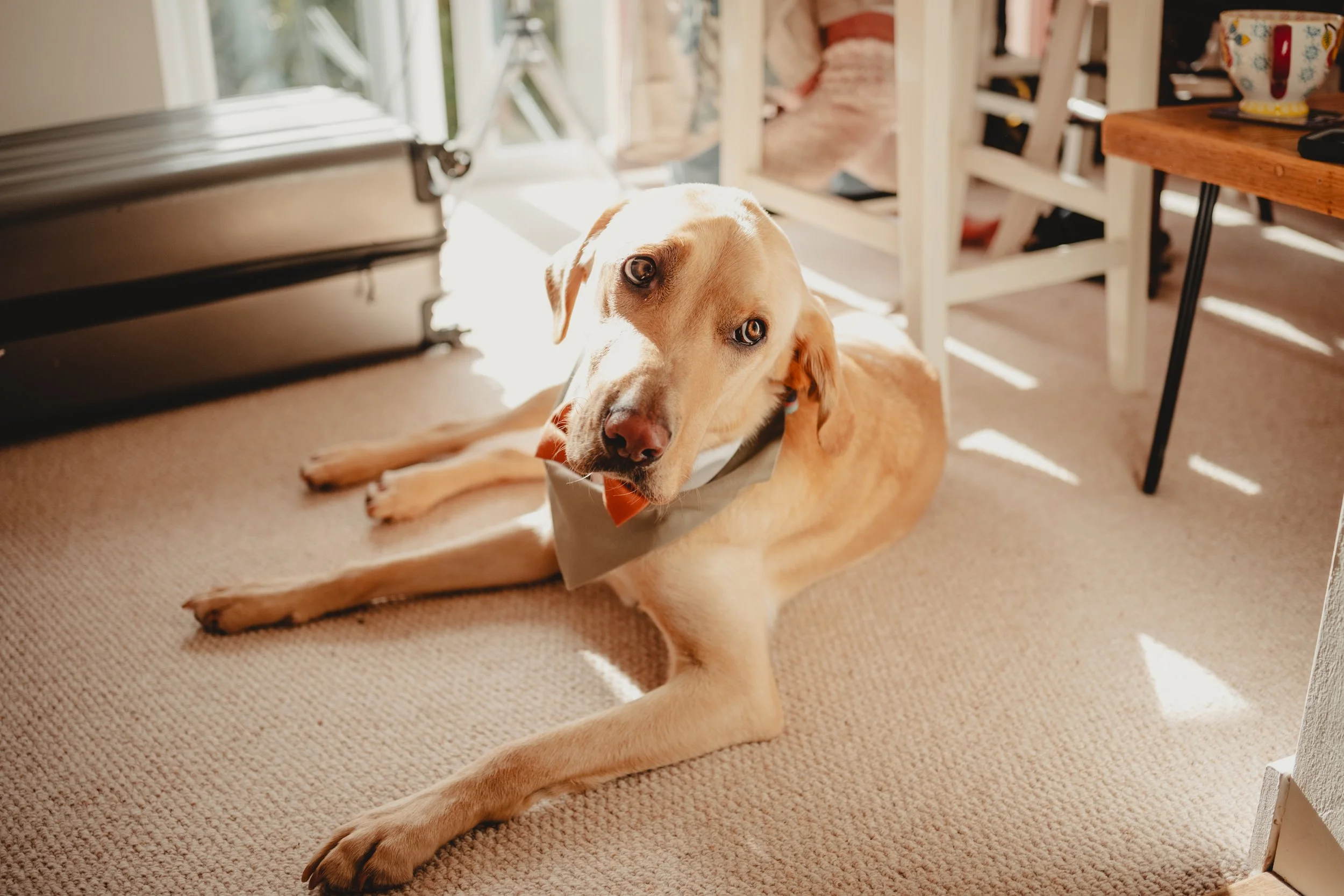 Iard Hendre Wedding-13.jpg