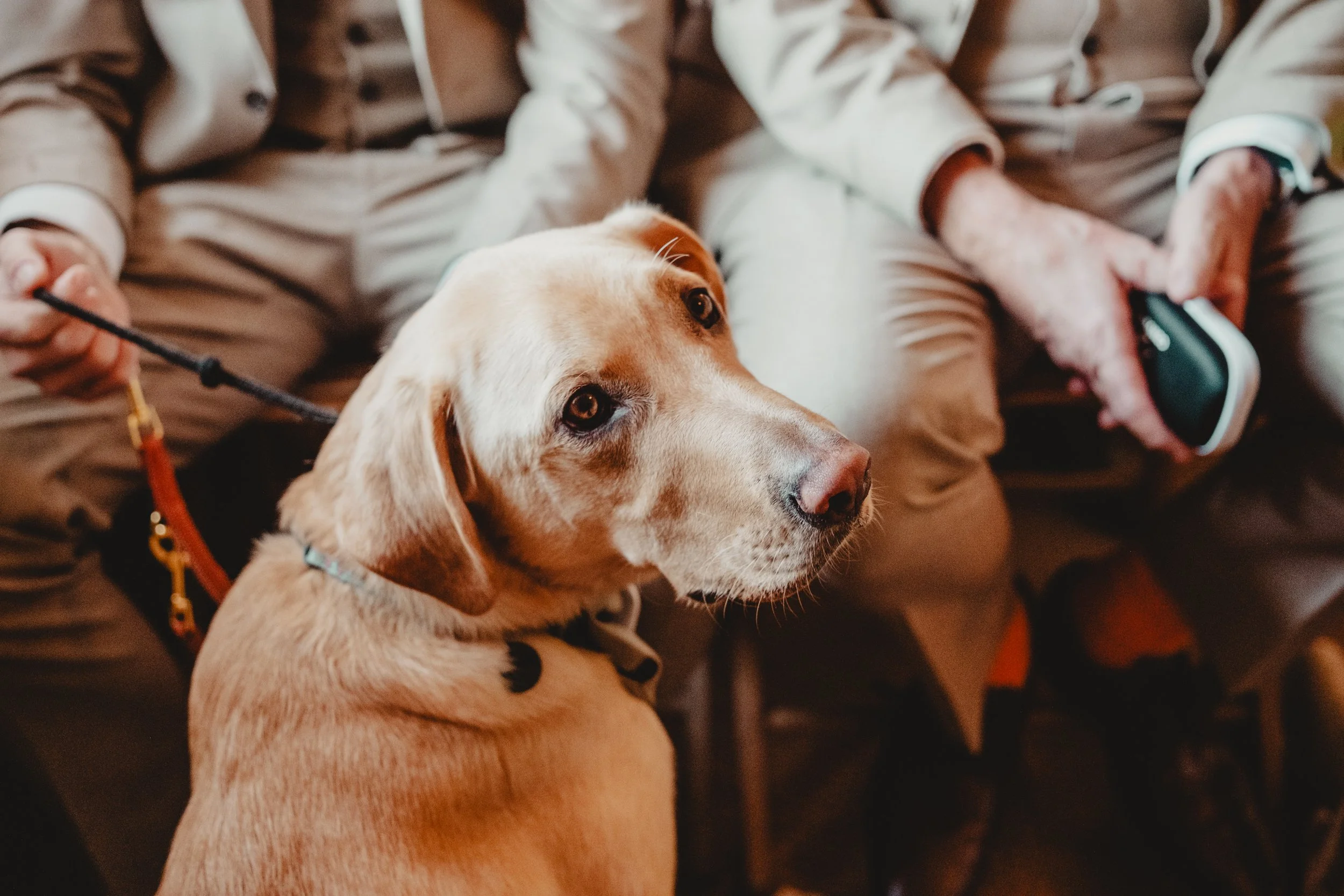 Iard Hendre Wedding-46.jpg