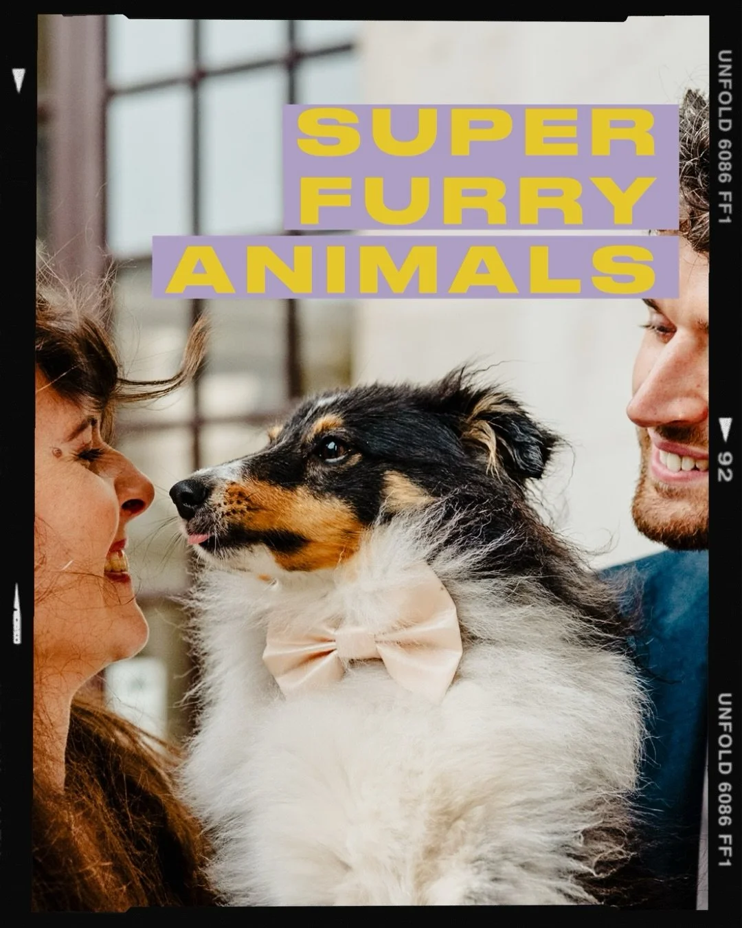 If you have the privilege of sharing your home with animals you&rsquo;ll know they take up a huge space in your heart, so it&rsquo;s only right they should feature in some way in a wedding day. Most of the time it means a dog being brought to a weddi