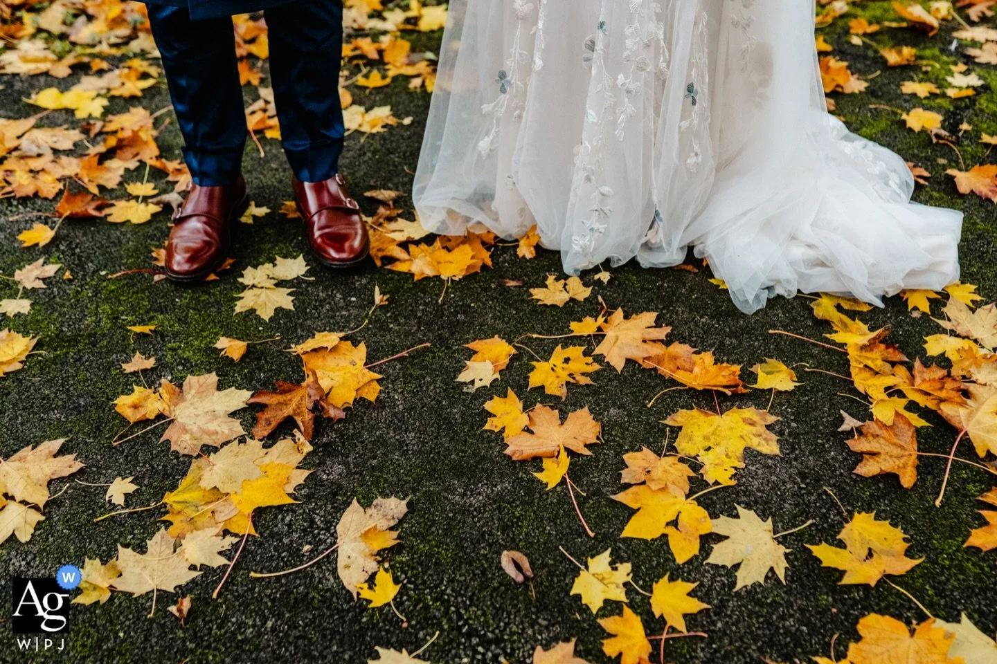 A great way to start 2026: getting an award from @weddingphotojournalists for this detail shot. This is Sophie and Sandip at @thepumpinghouse in November.

This is always my preferred method for details - showing some of the context of a wedding day.