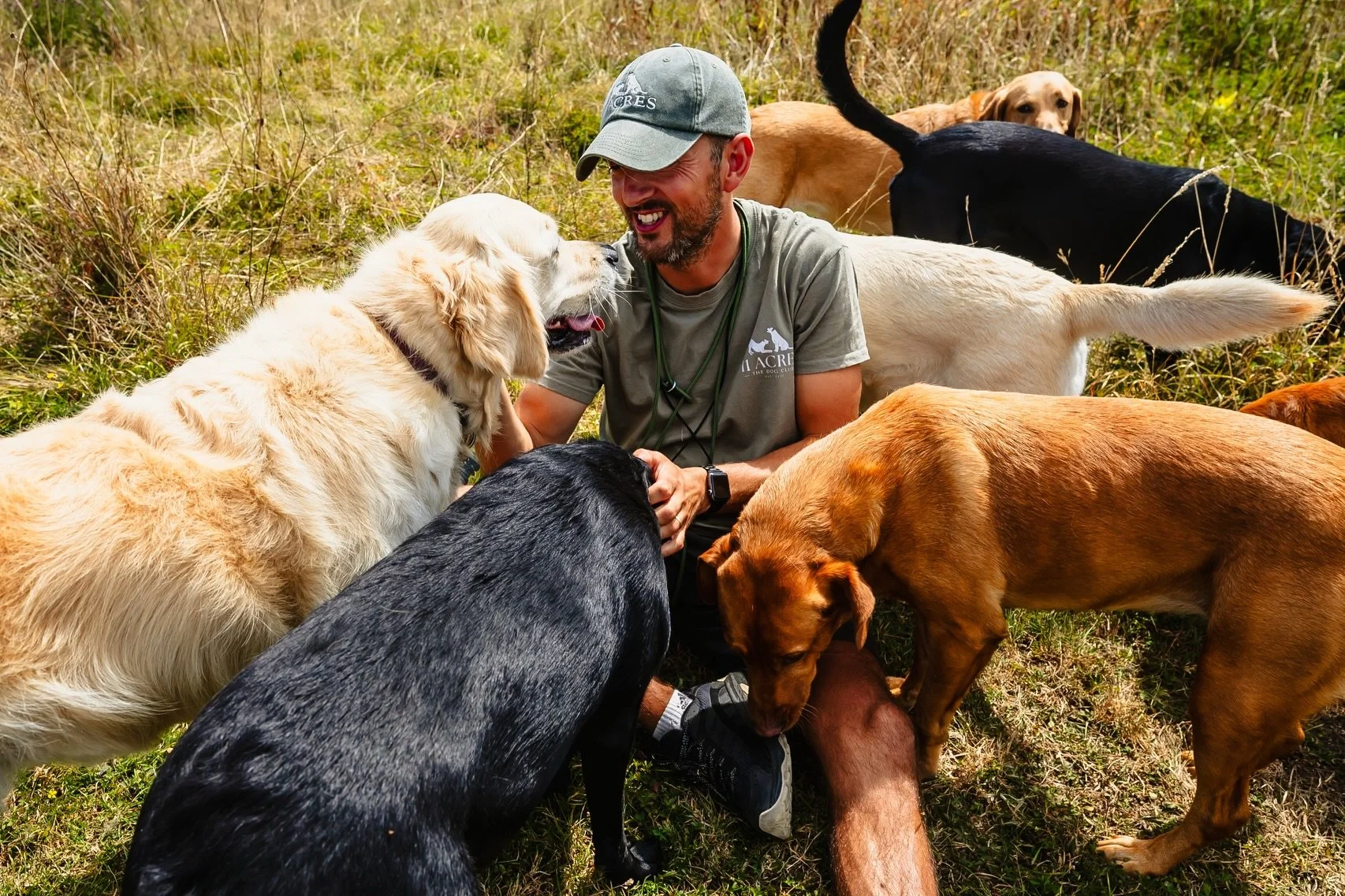 It&rsquo;s a dog&rsquo;s life!

A couple of weeks ago I got the pleasure of spending a morning with my brother in law at his doggy daycare business nearby. I can officially state that dogs are easier to photograph than group photos 🤣 if I ever stopp